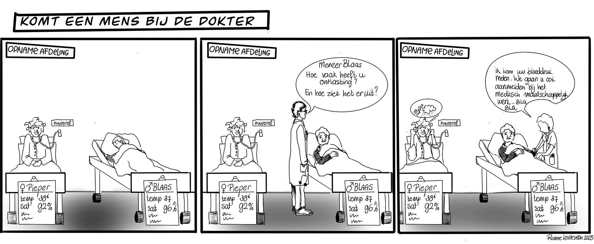 2023-NVD- Cartoon 3luik