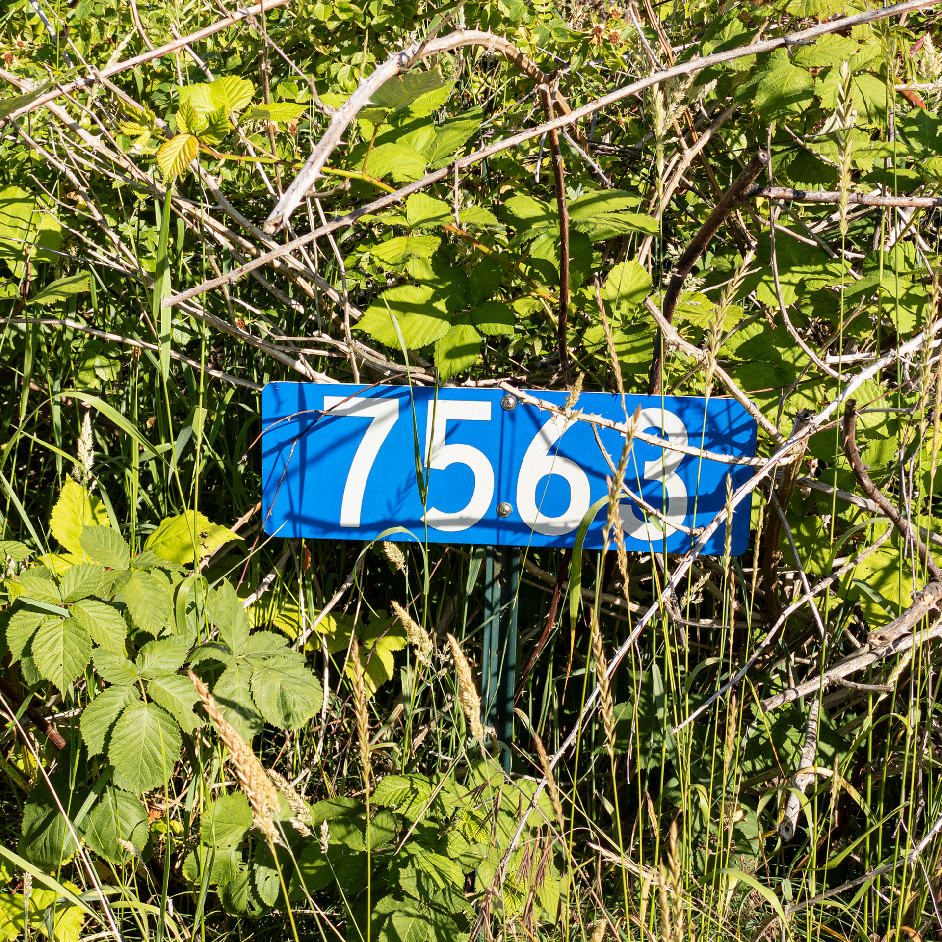 QP No. 364
