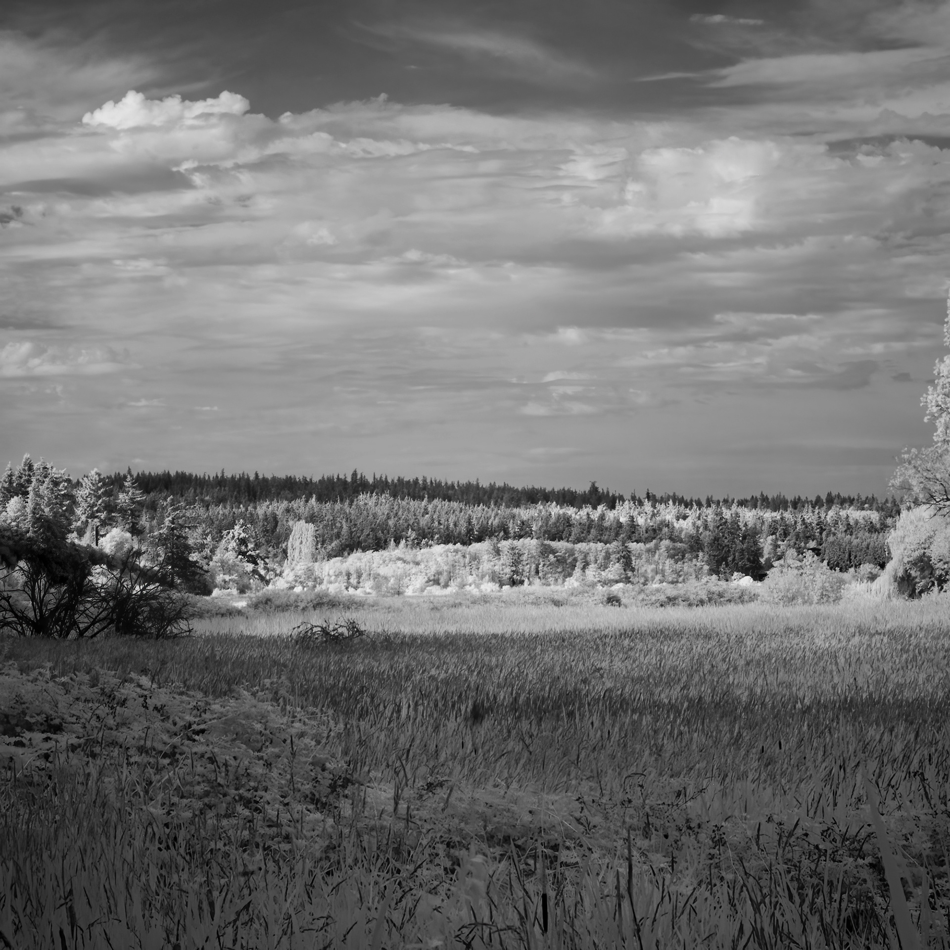 IR No. 92