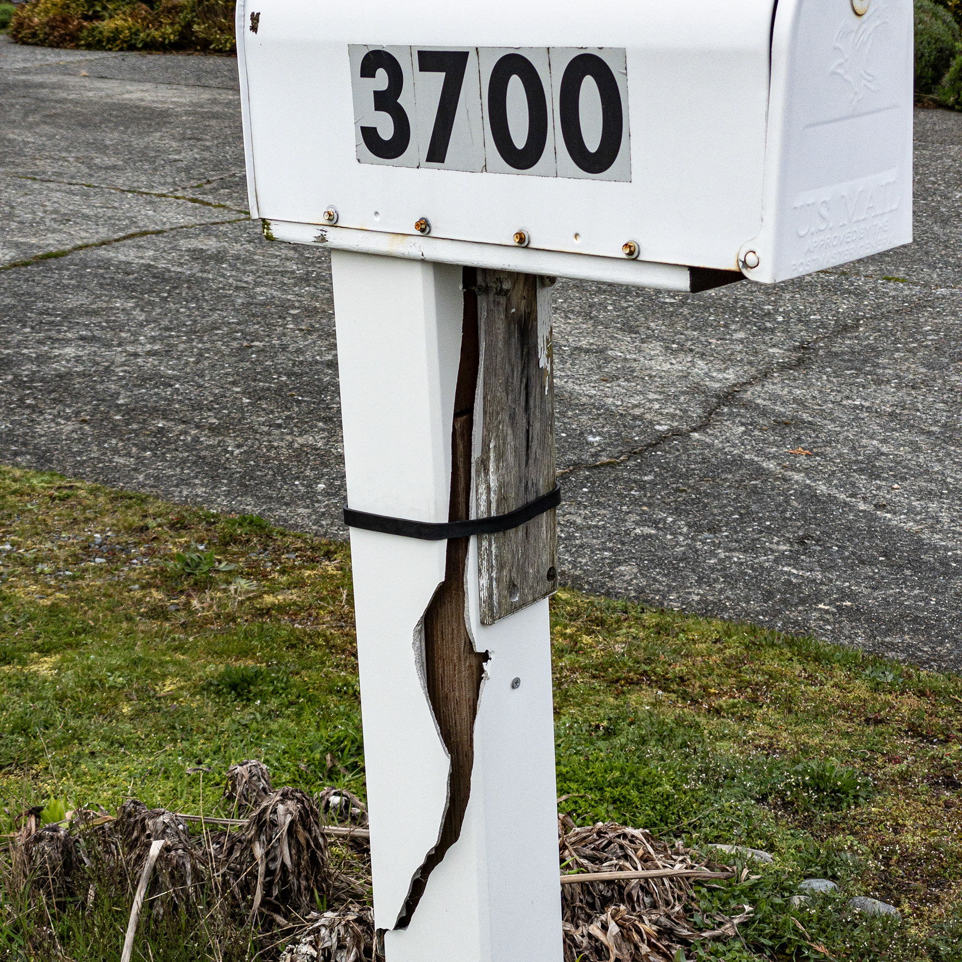 QP No. 204