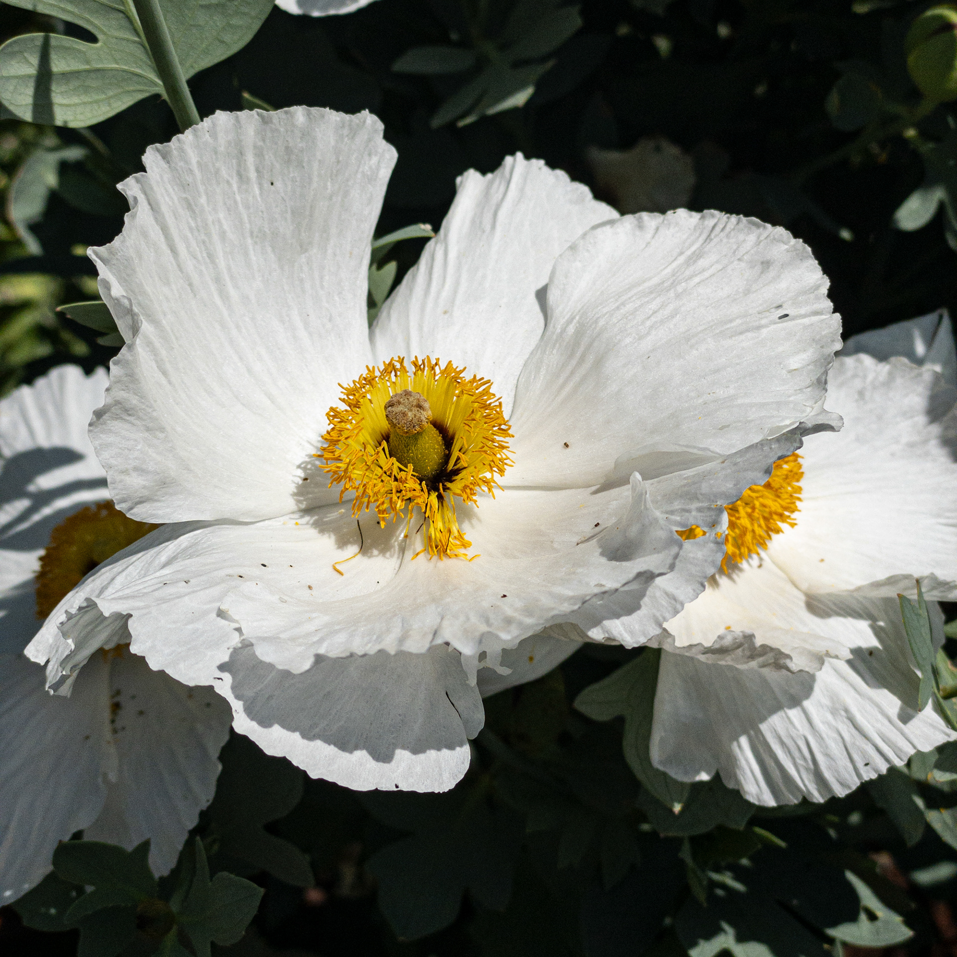 QP No. 367