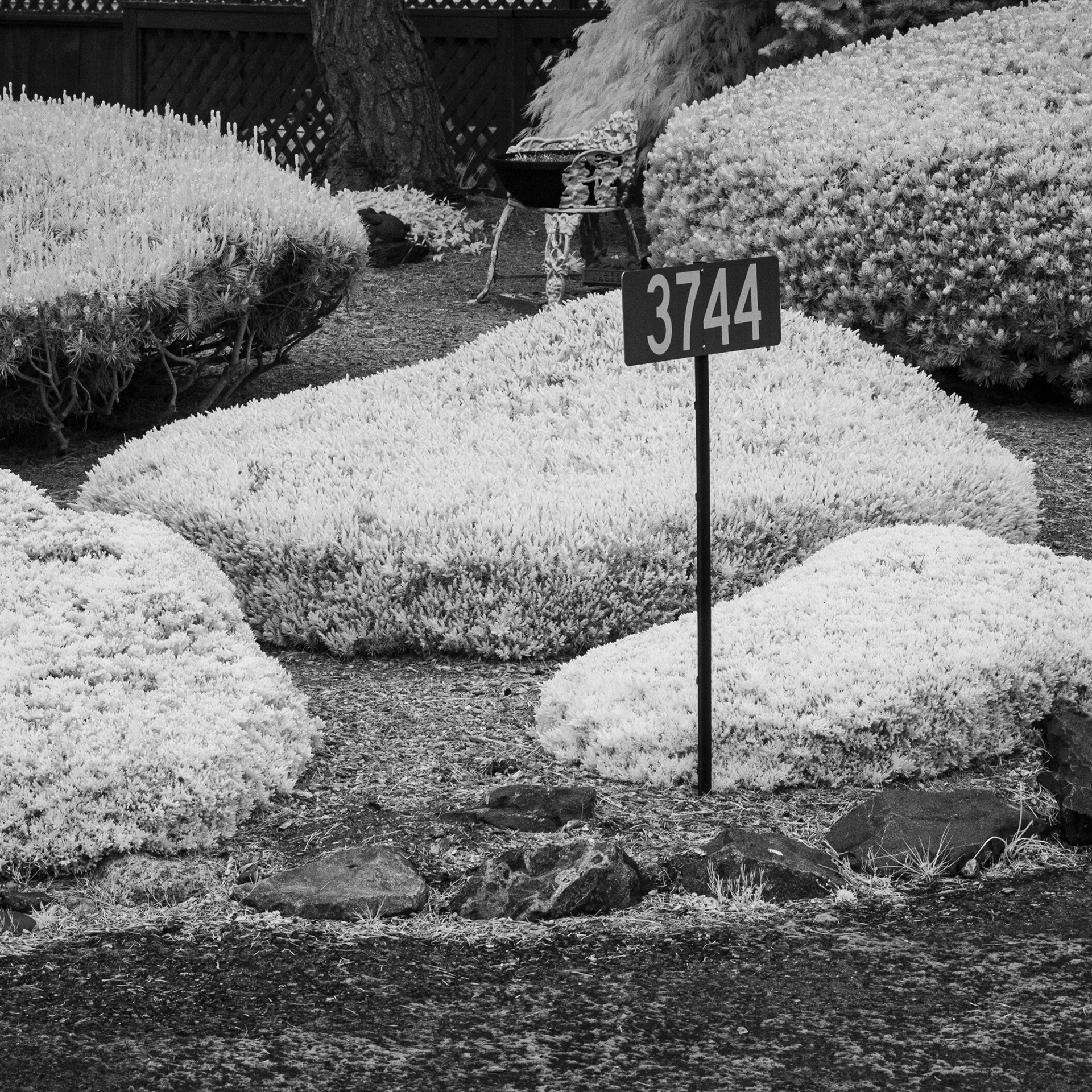IR No. 13