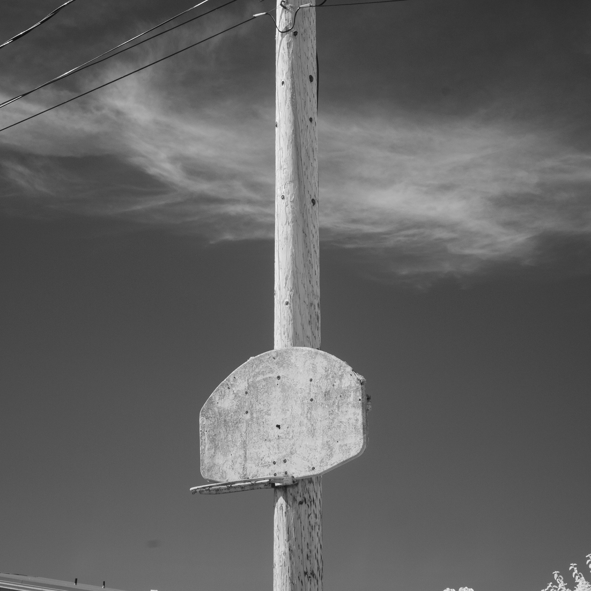 IR No. 113