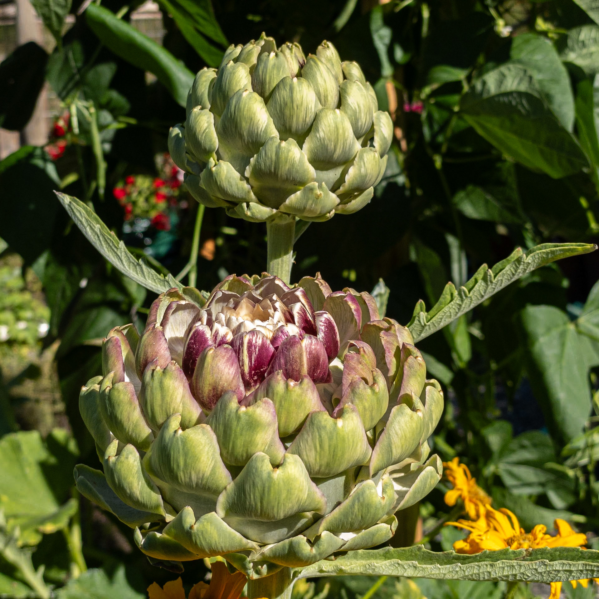 QP No. 21
