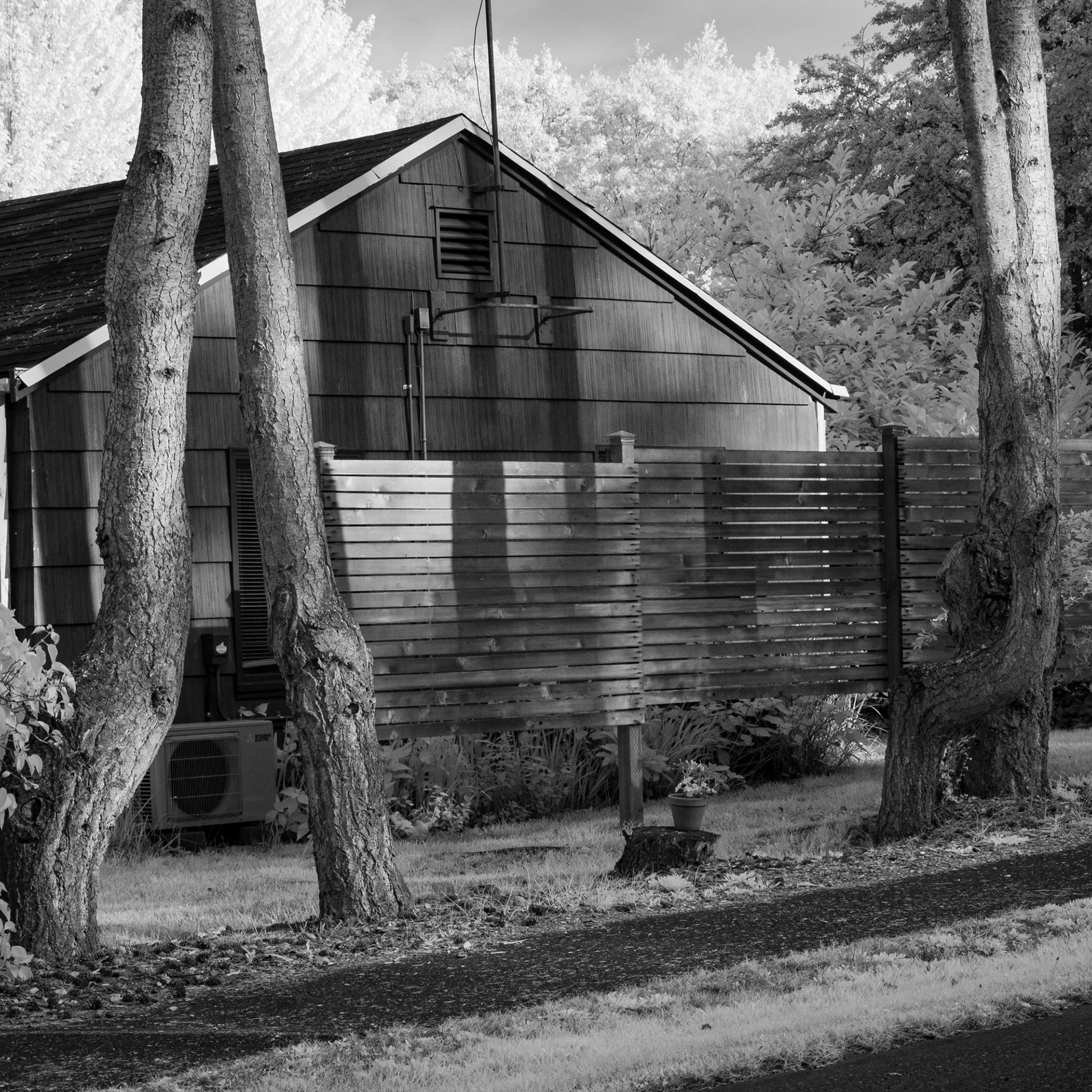 IR No. 118