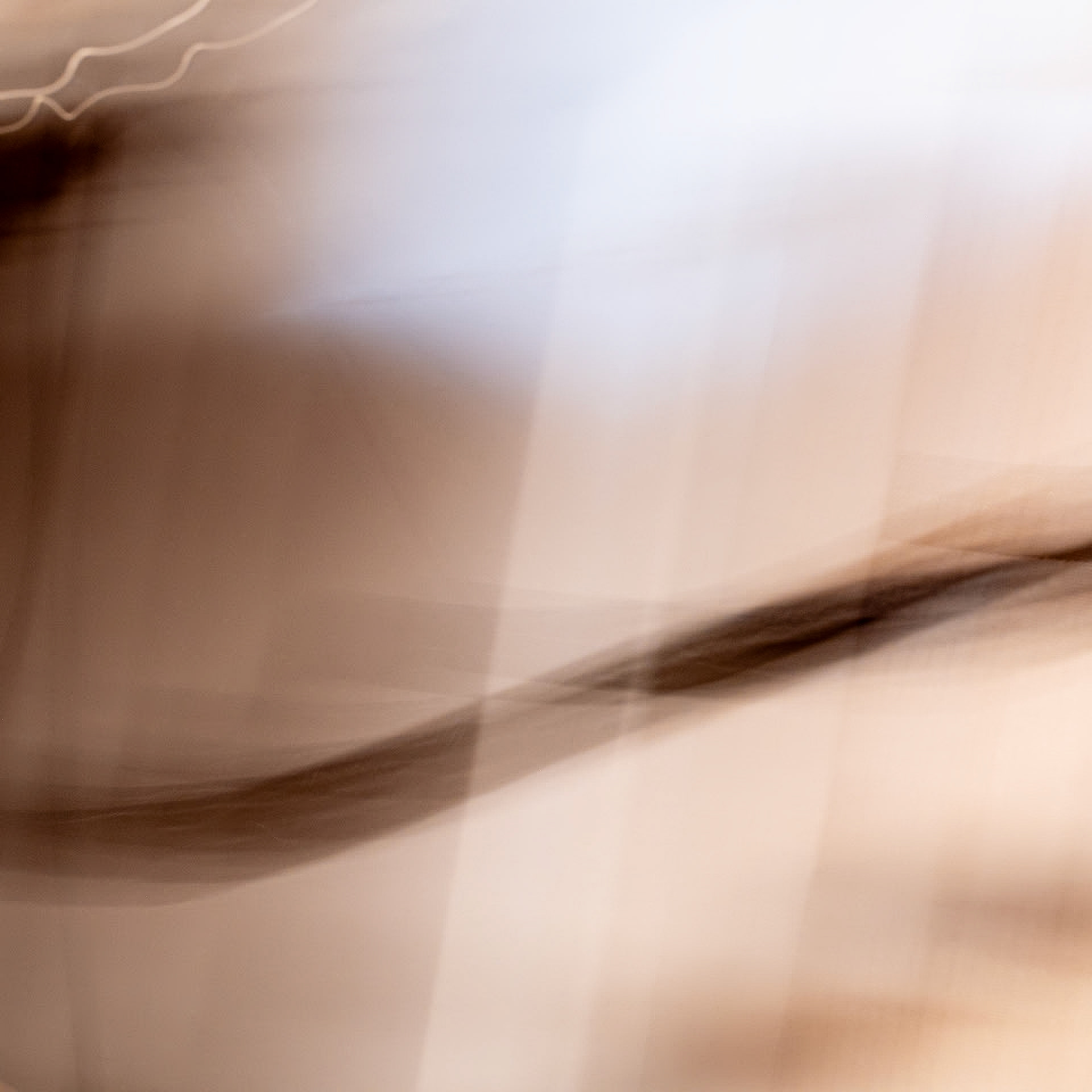 ICM No. 1