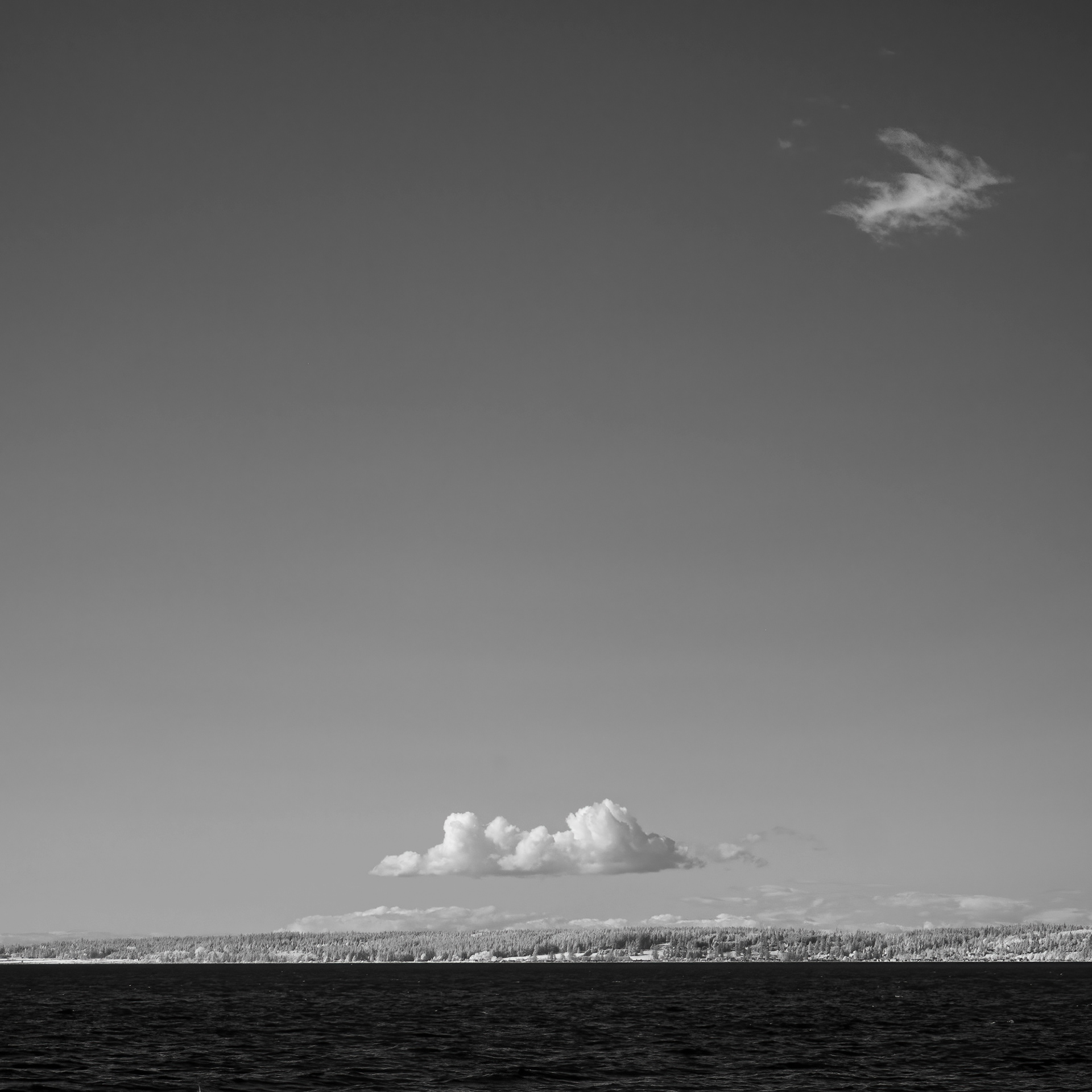 IR No. 39