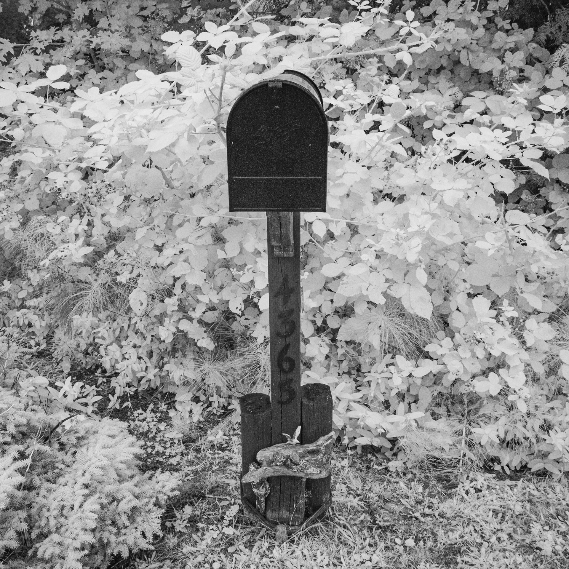 IR No. 116