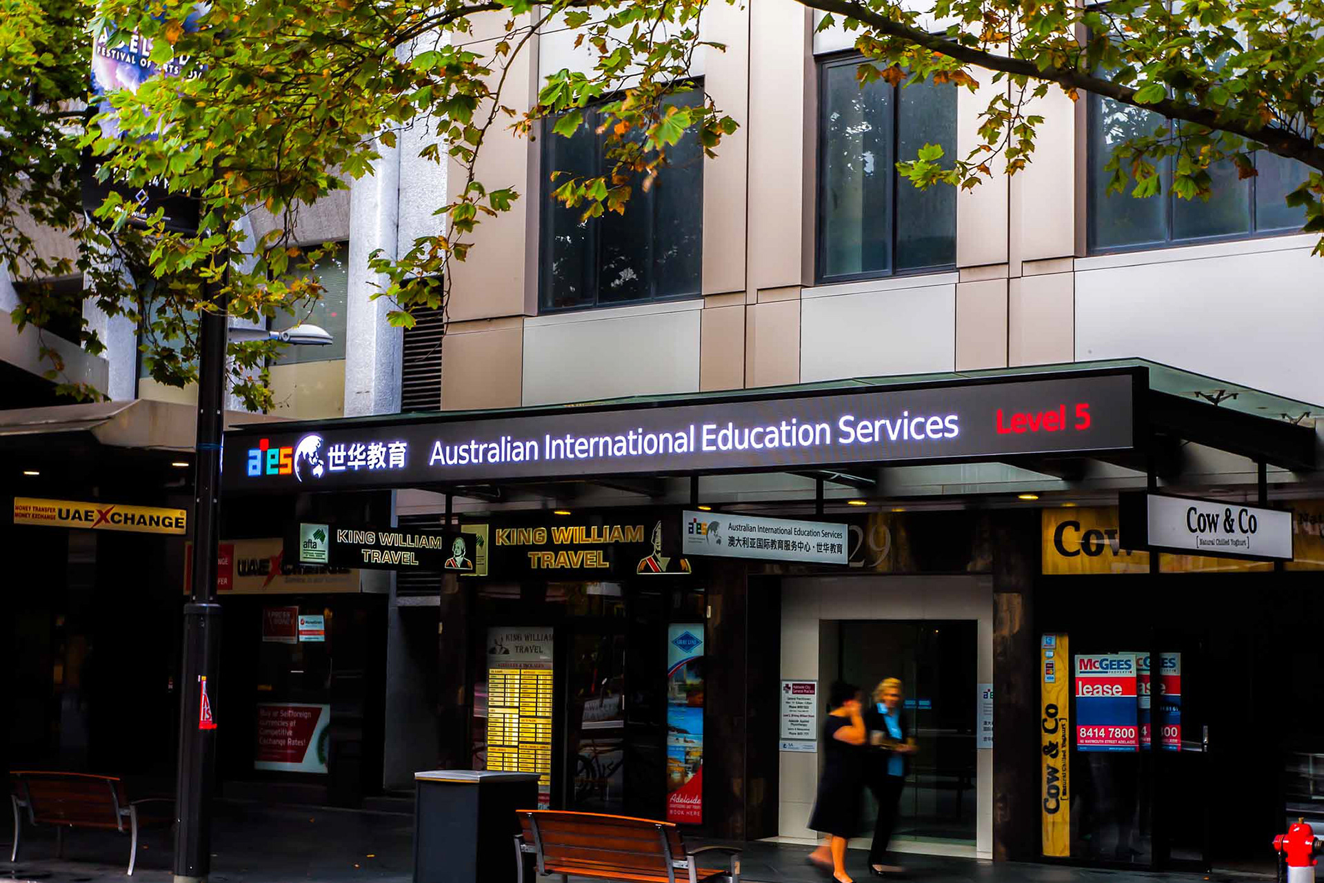Australian International Education | 6.25mm, 9mW x 0.5mH