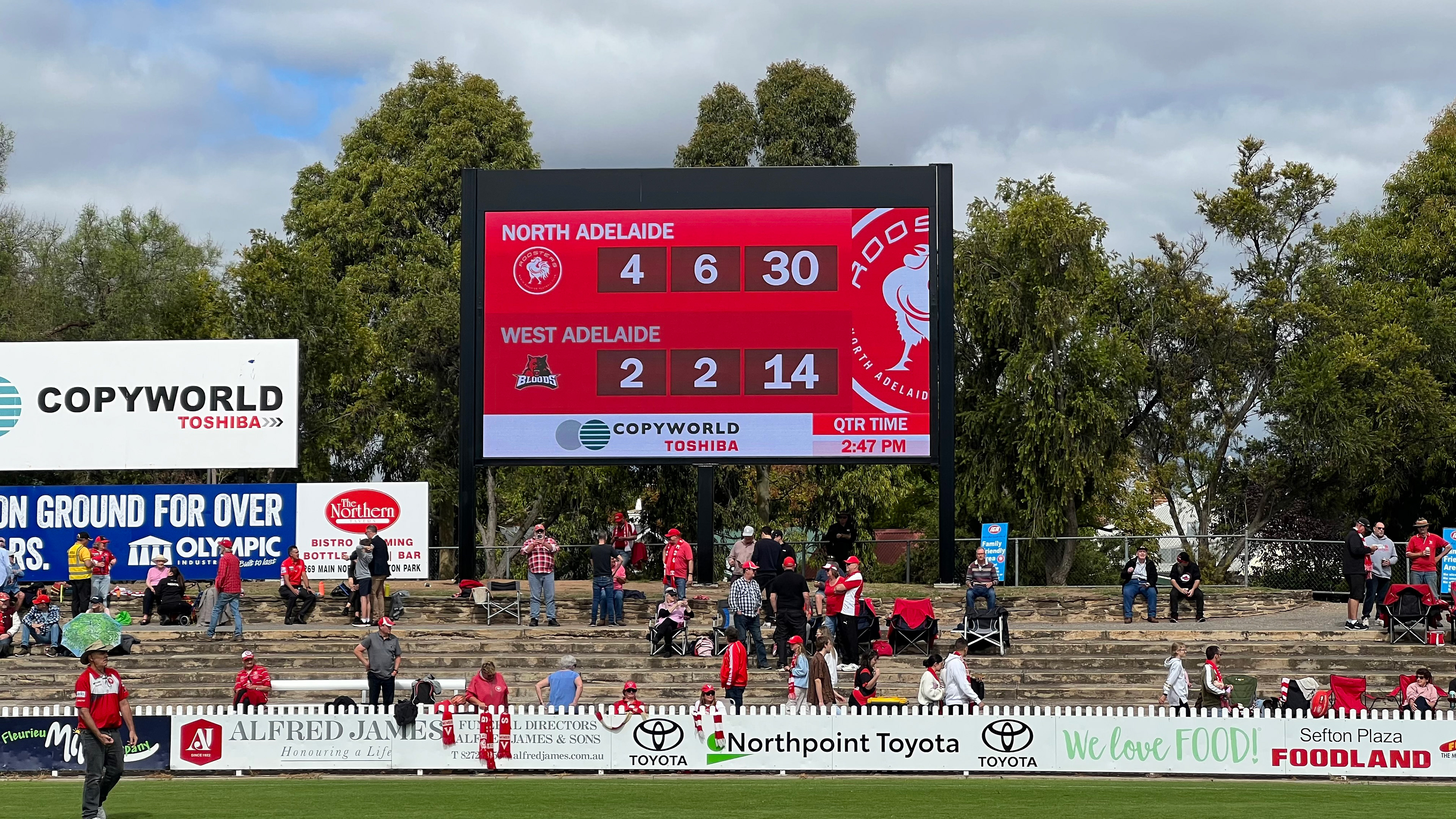 North Adelaide Football Club | 10mm 8.64mW x 4.8mH