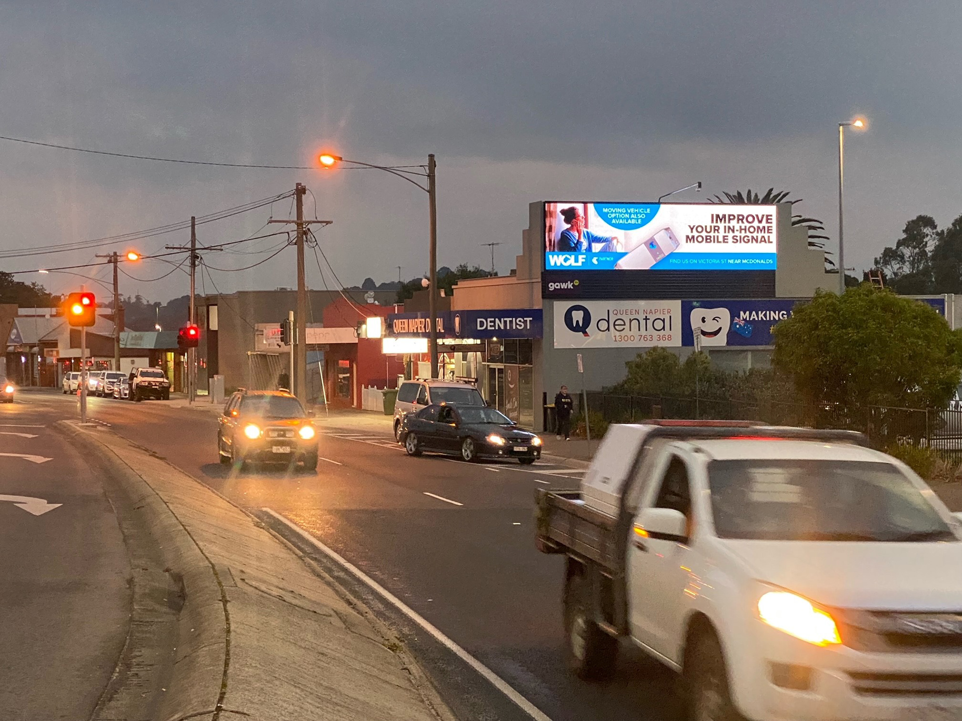 Gawk Warragul | 10mm, 8mW x 2.08mH