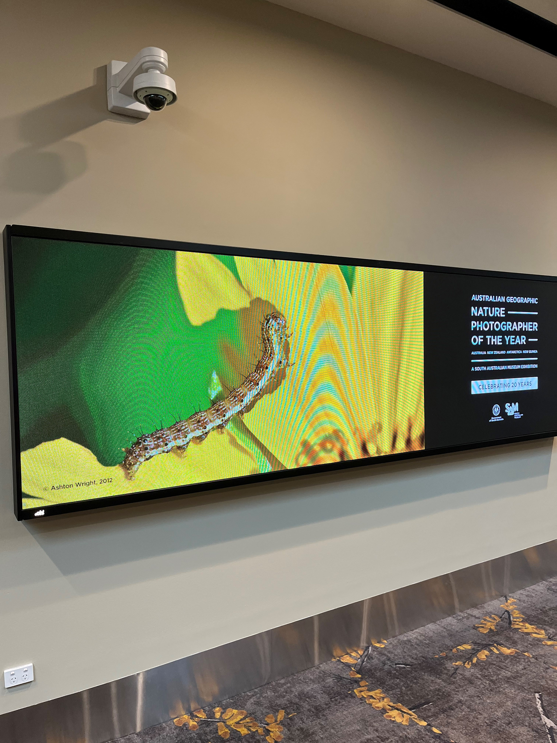 oOh! Media Melbourne Airport | 2.5mm | 3.9mW x 1.095mH