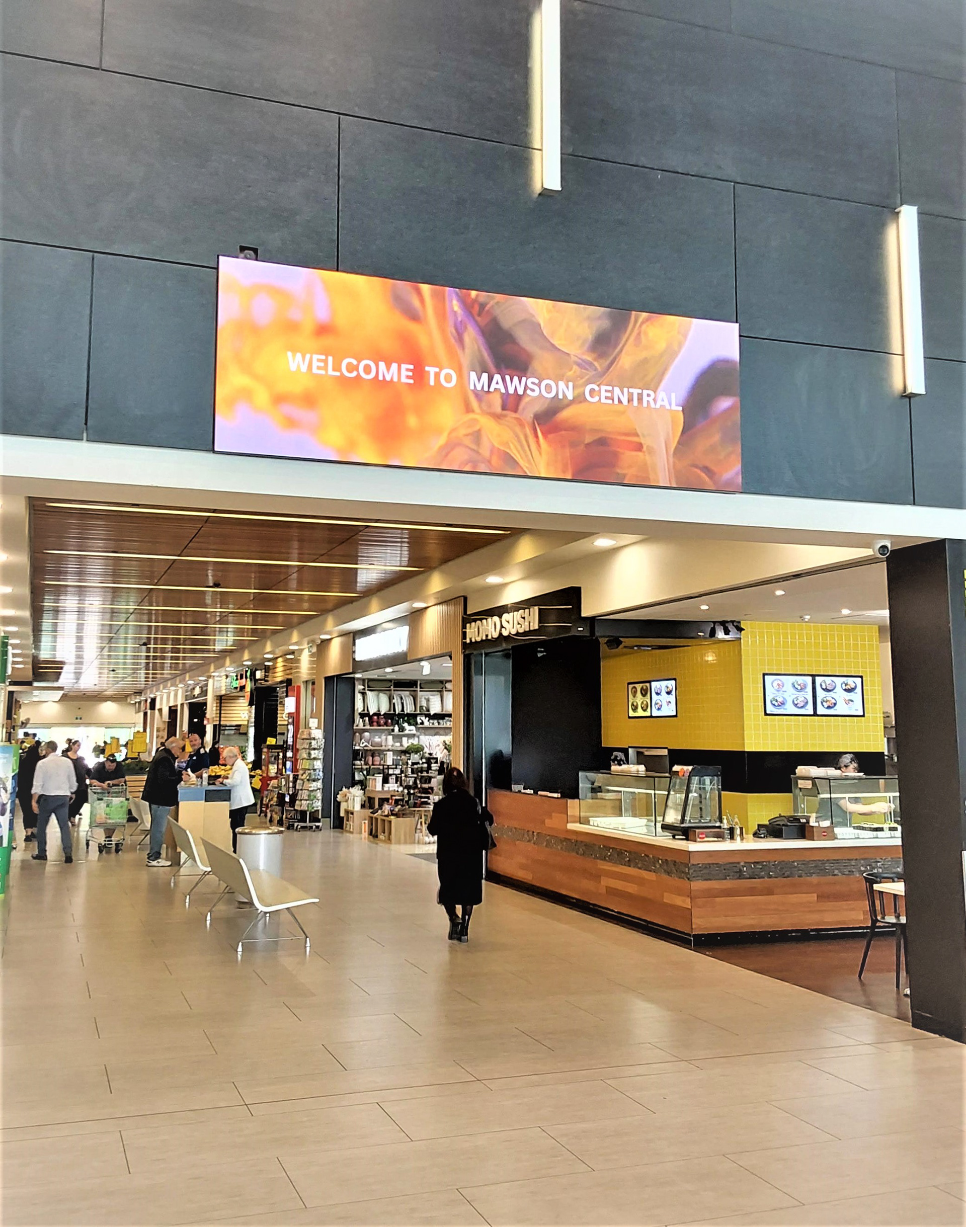 Blue Tongue - Mawson Lakes Shopping Centre | 2.6mm 3mW x 1mH