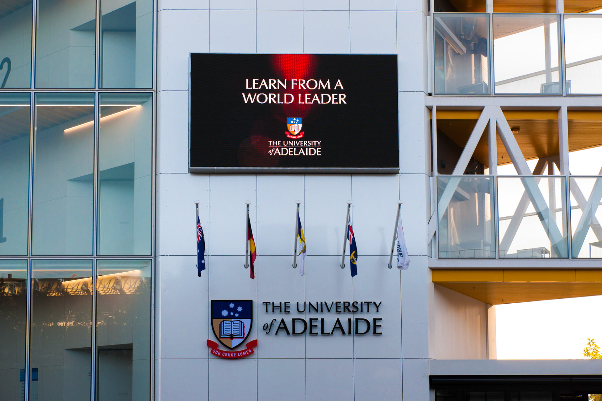 UoA School of Nursing & Midwifery | 10mm, 5.44mW x 3.04mH