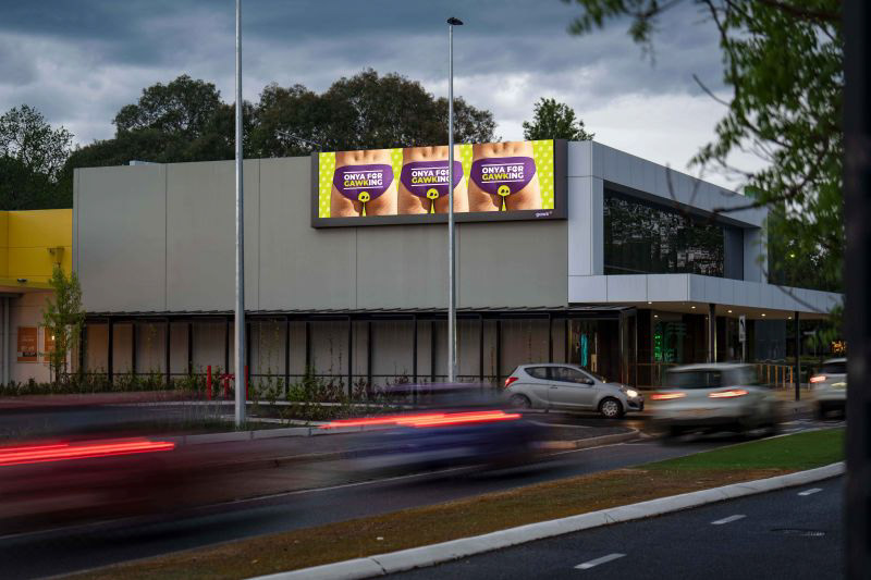 GAWK Mt Barker | 10mm, 8mW x 2.08mH
