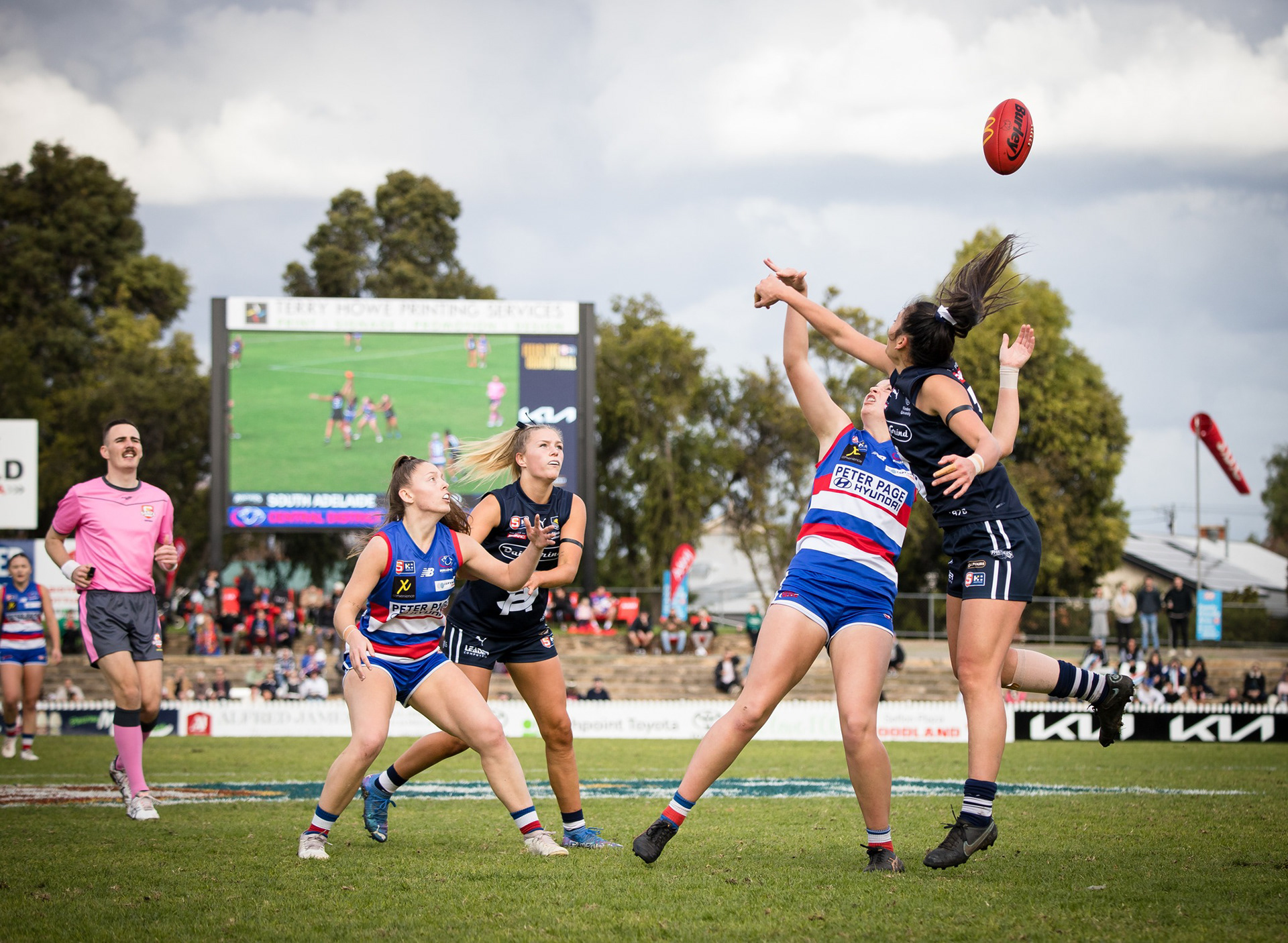 North Adelaide Football Club | 10mm 8.64mW x 4.8mH