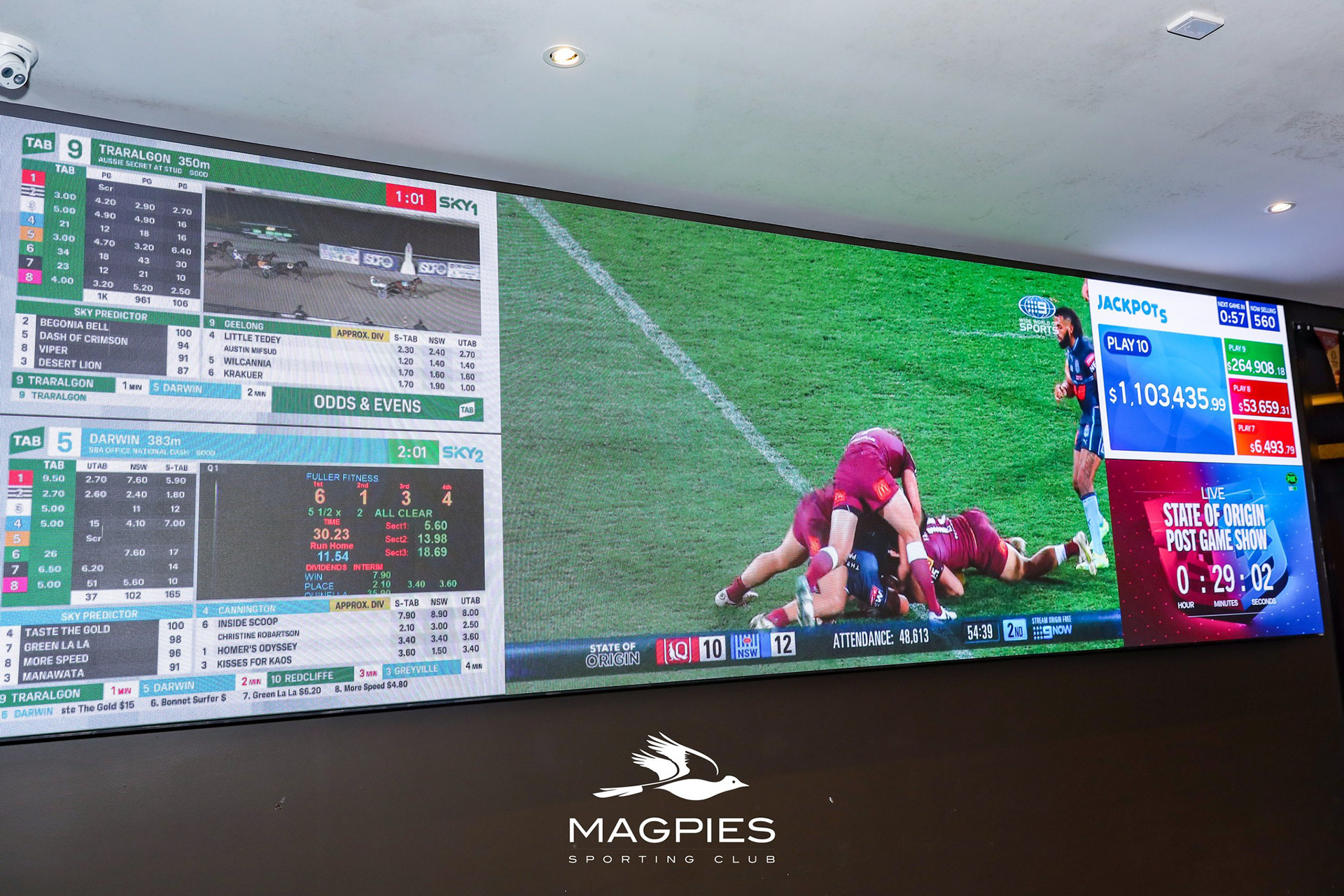 Magpies Sporting Club | 2.6mm 5mW x 1.5mH