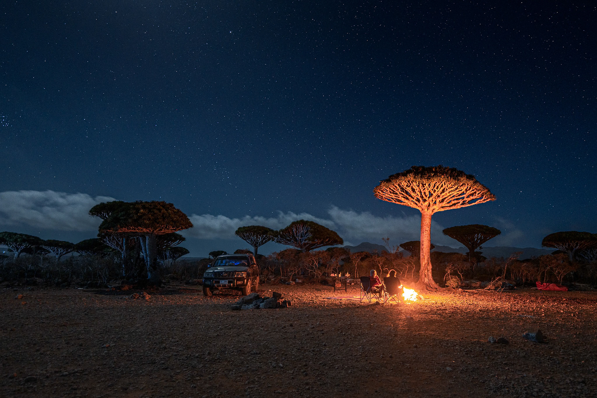 Magiczny krajobraz lasu Firhmin na Sokotrze – gęste skupisko smoczych drzew o parasolowatych koronach, rozciągających się nad skalistym płaskowyżem Dixam. Niezwykła sceneria przypomina kadr z innej planety.