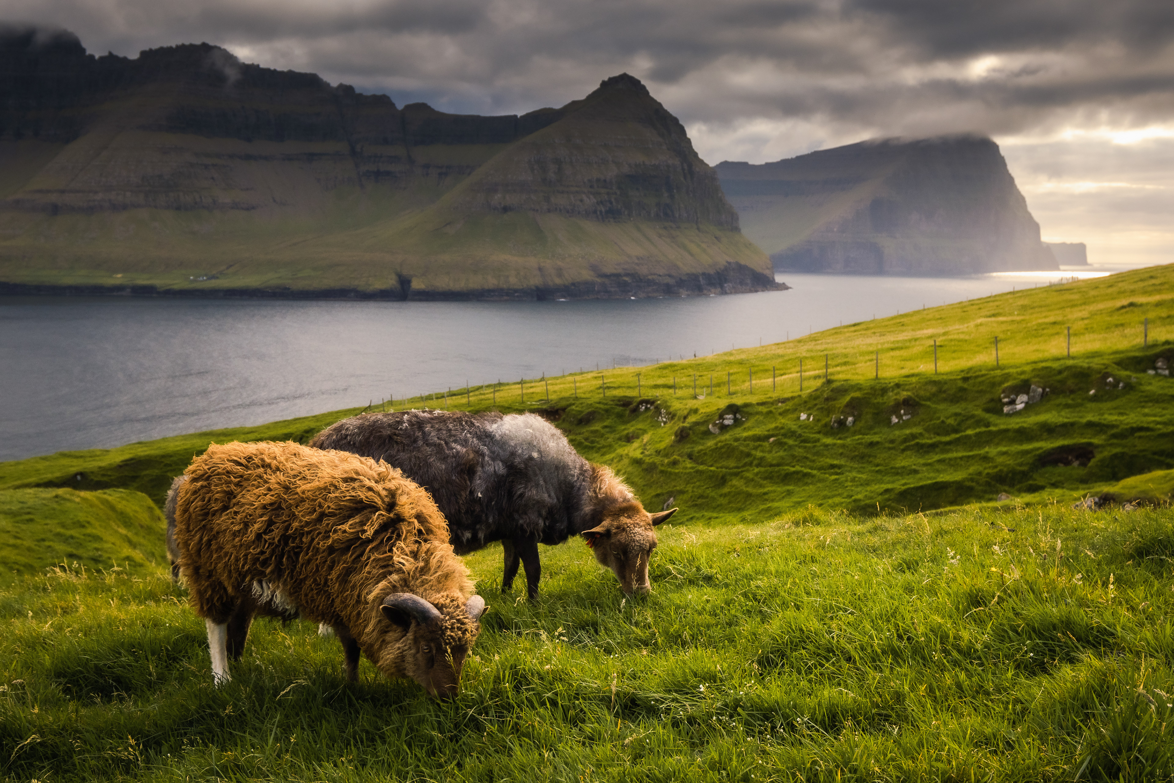 Surowy krajobraz Wysp Owczych z dramatycznymi chmurami
