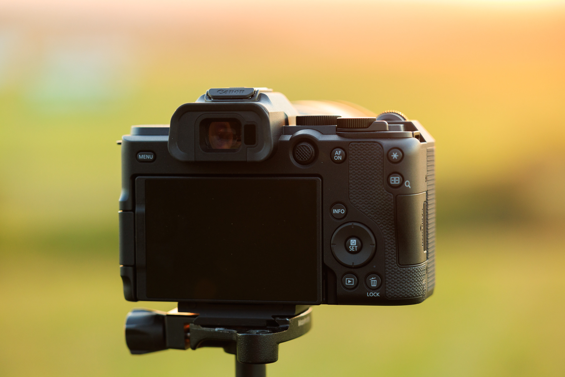 Canon EOS R8 Mark II test nowego aparatu