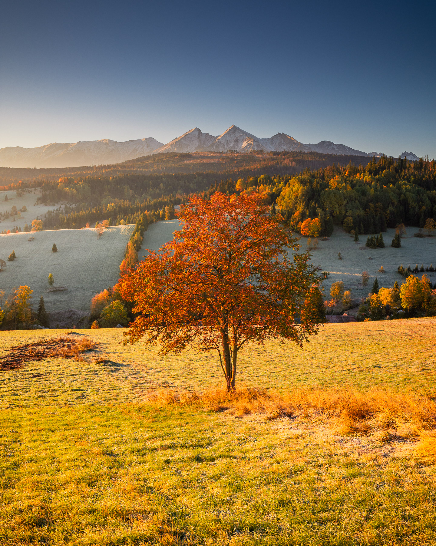 test obiektywu Canon RF 28mm F2.8 STM USM Osturnia Łapszanka wschód Słońca widok na Tatry