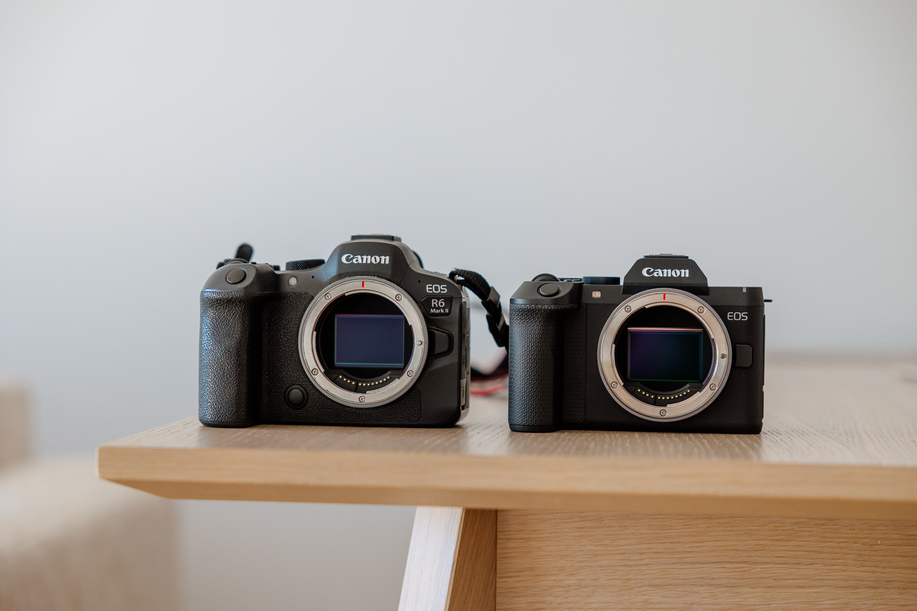 R6 Mark II oraz R8 Mark II 