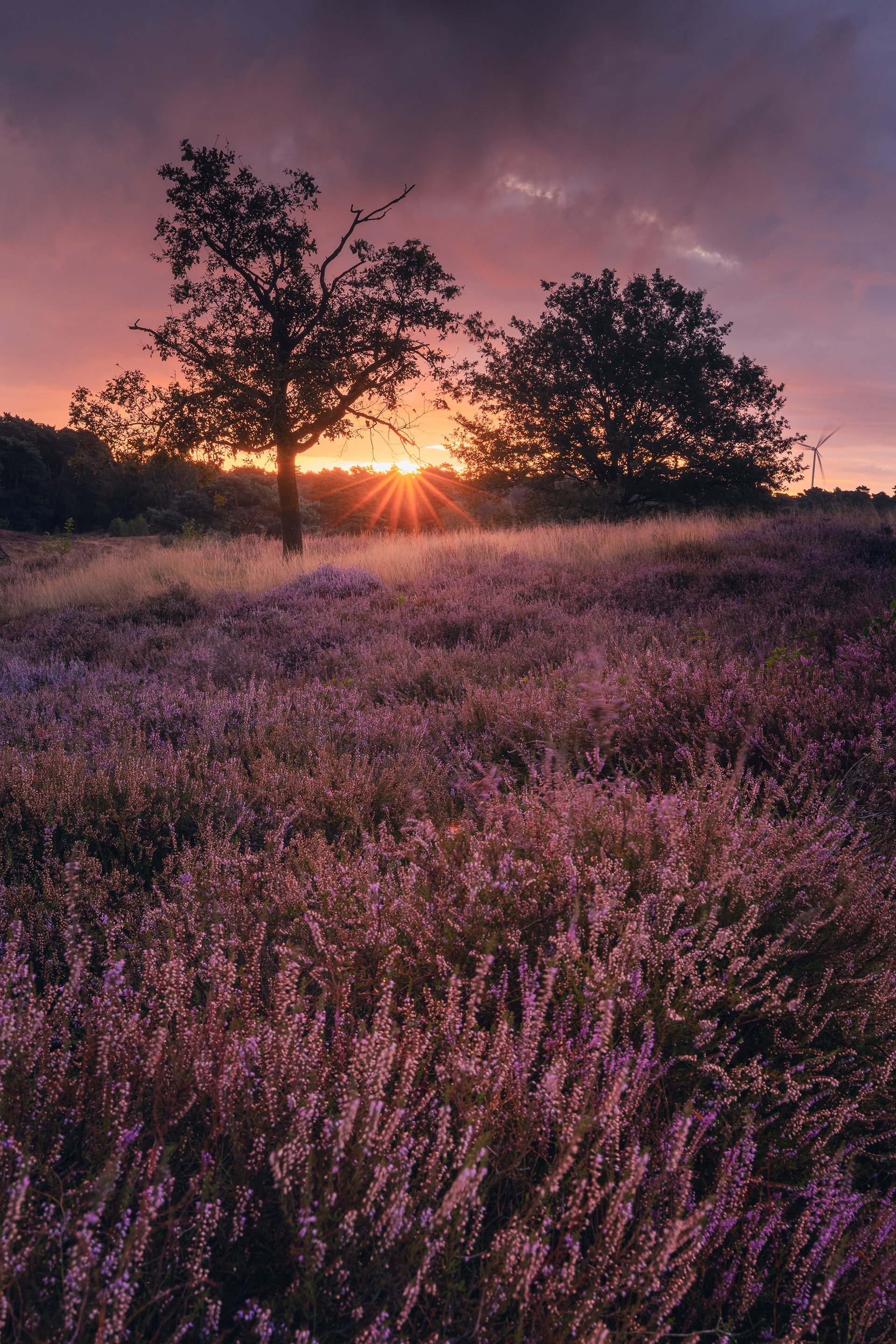 Canon R6Mark II + Canon 16-35 F/4 IS USM | F.18 ISO 200 1/40s (bracketing)