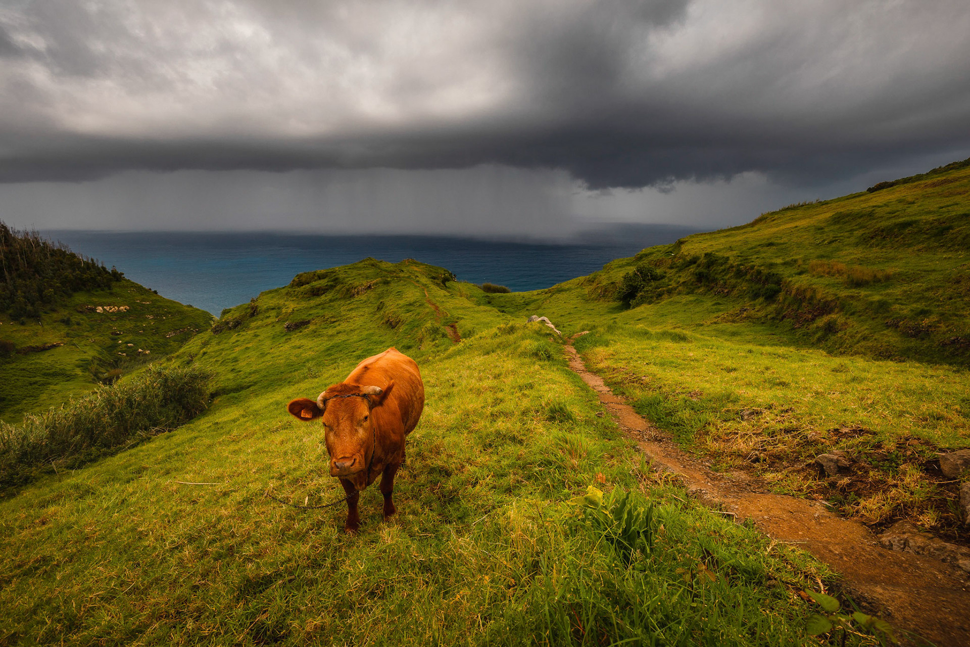Madera wyprawa fotograficzna