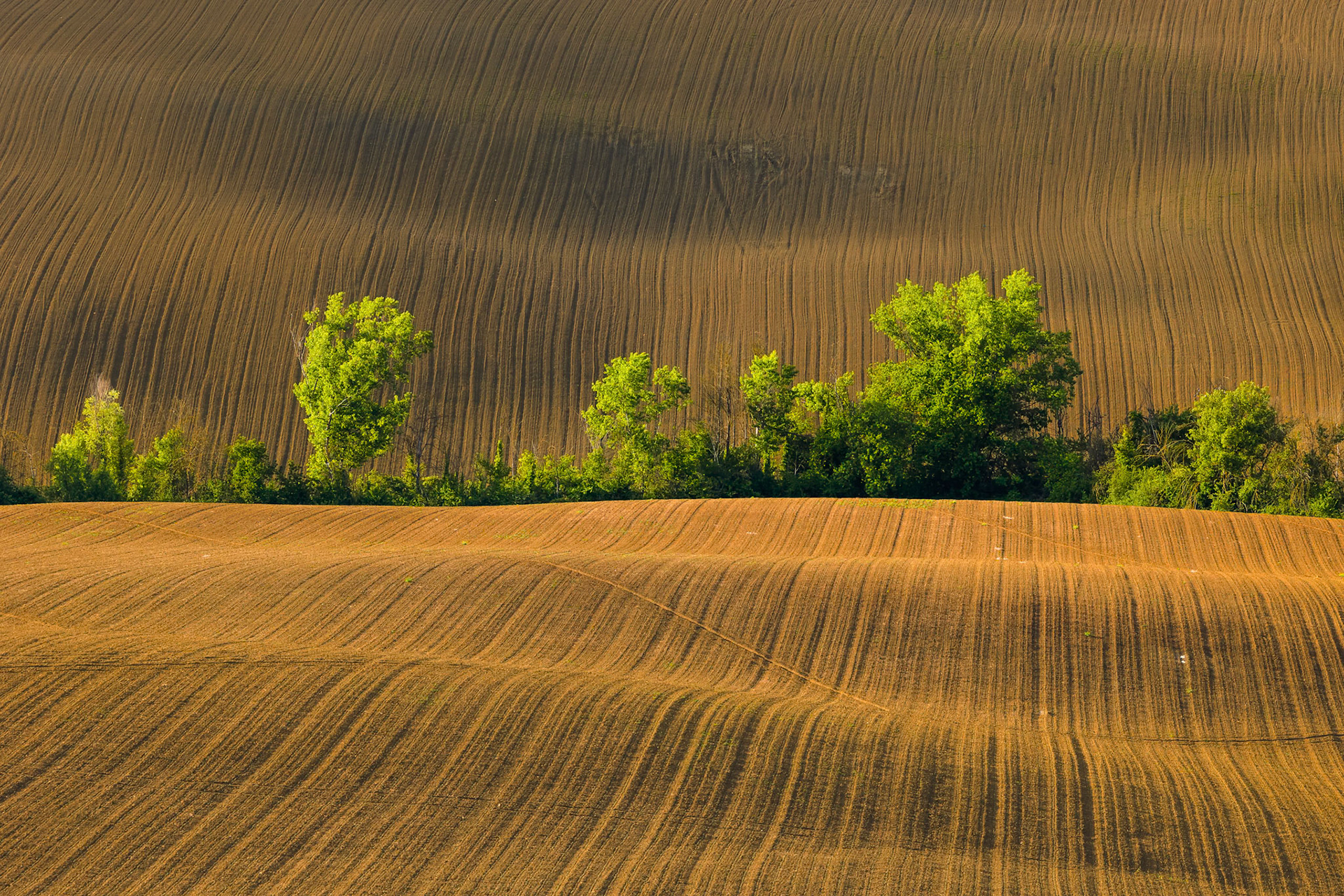 Fotowyprawa: Umbria i Marche – Ukryte Perły Włoch