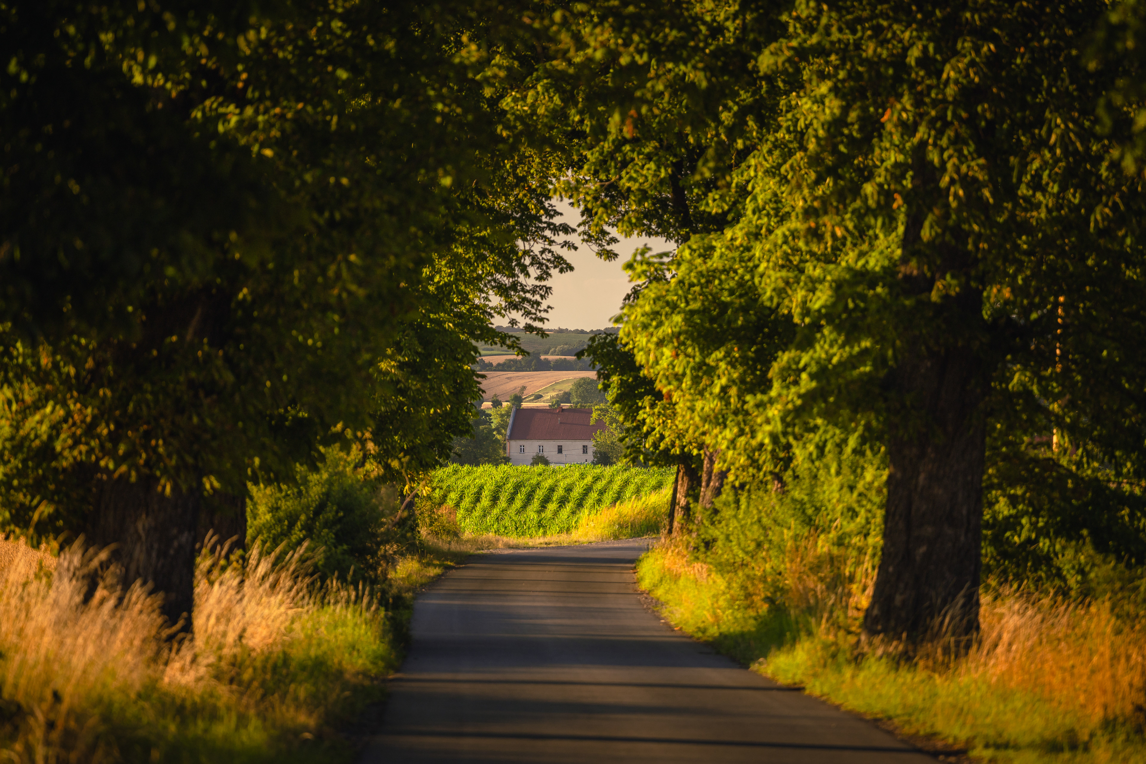 Poranek na warsztatach fotograficznych w Opolskim- okolice Otmuchowa