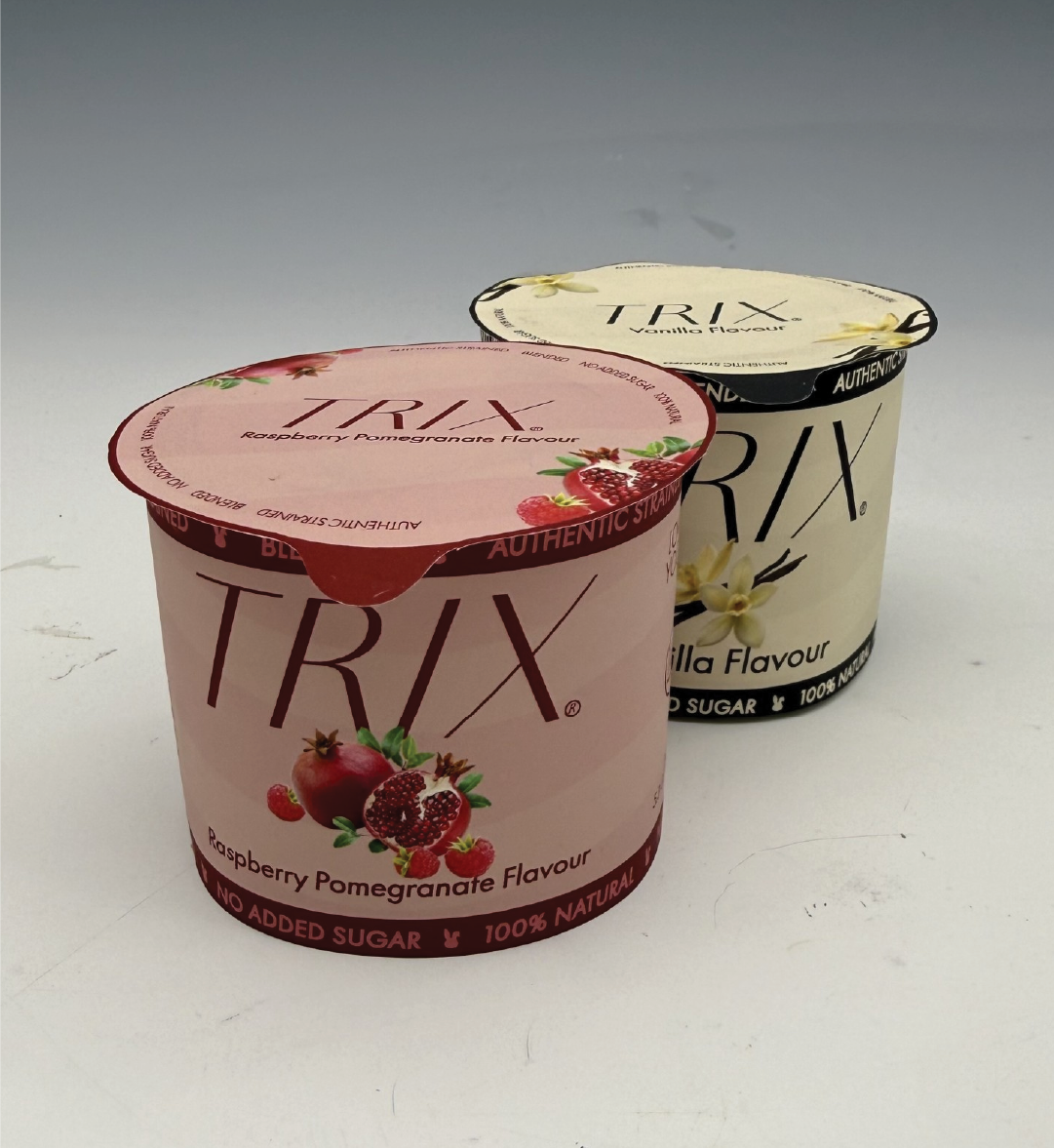 Yogurt Family Photo 1