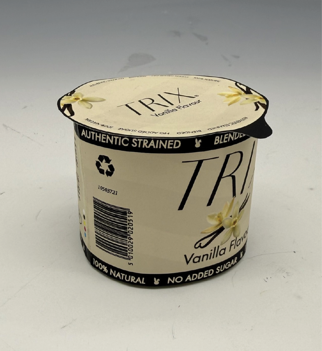 Vanilla Flavour Yogurt Photo 2