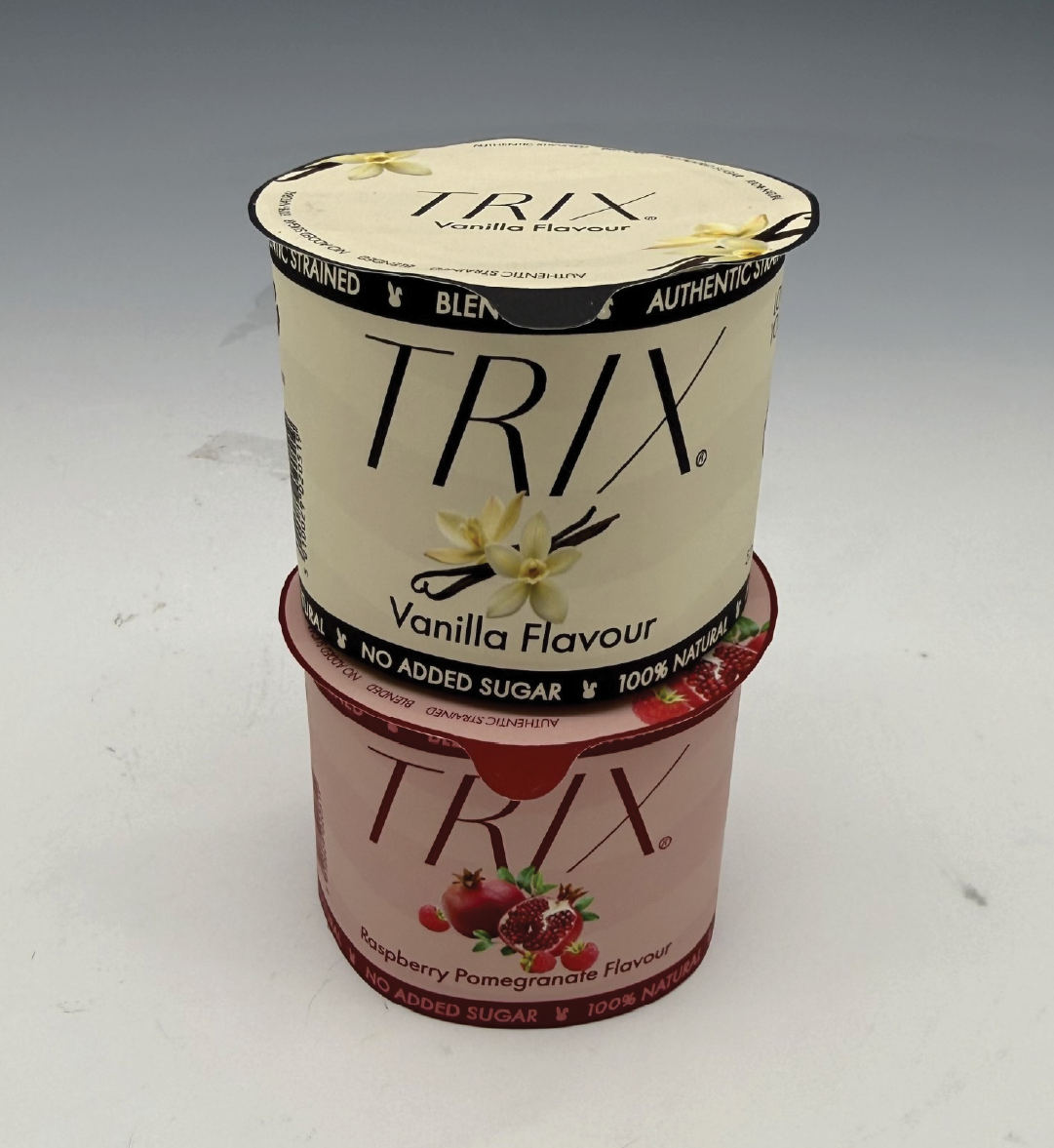 Yogurt Family Photo 2