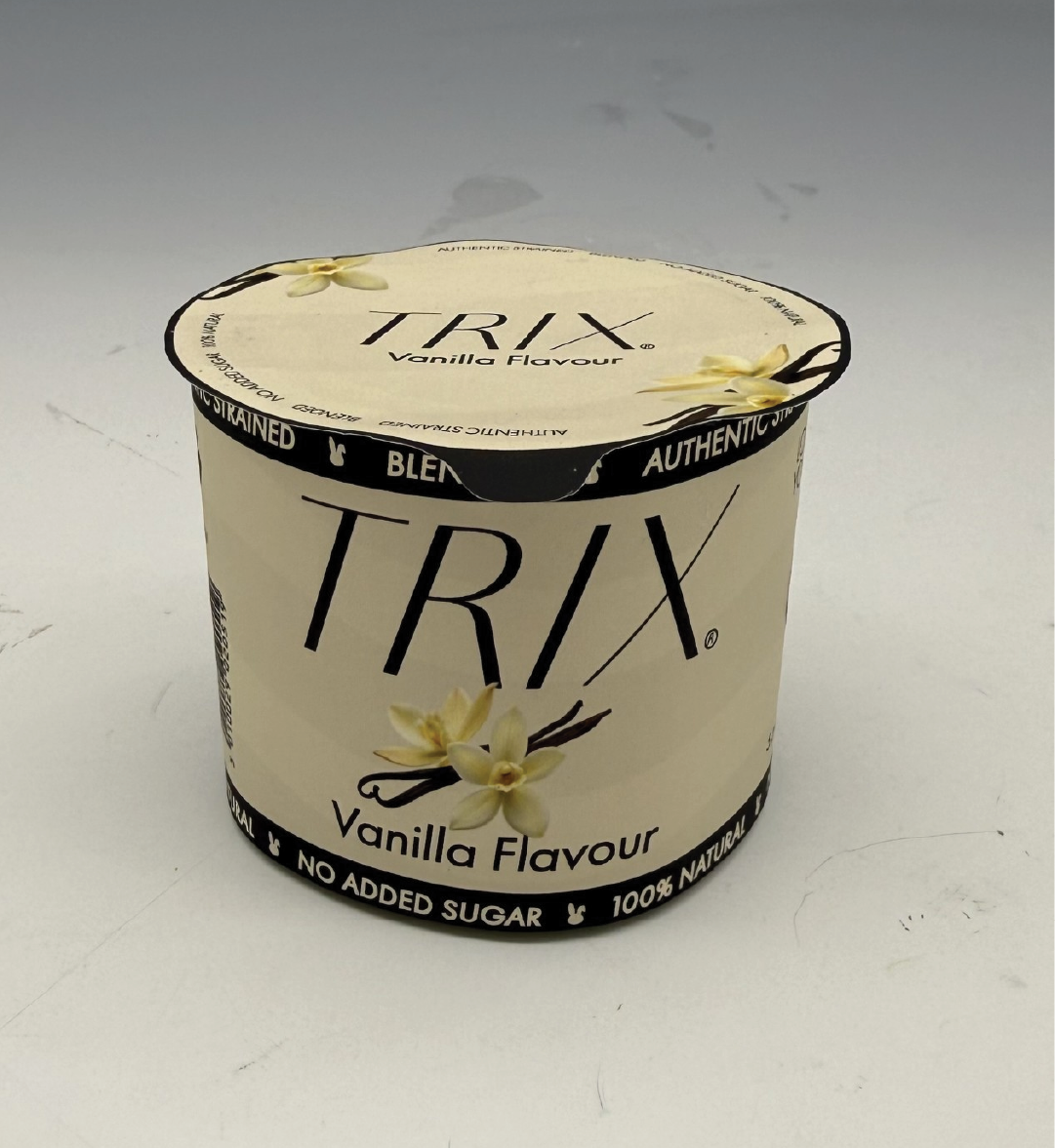 Vanilla Flavour Yogurt Photo 1