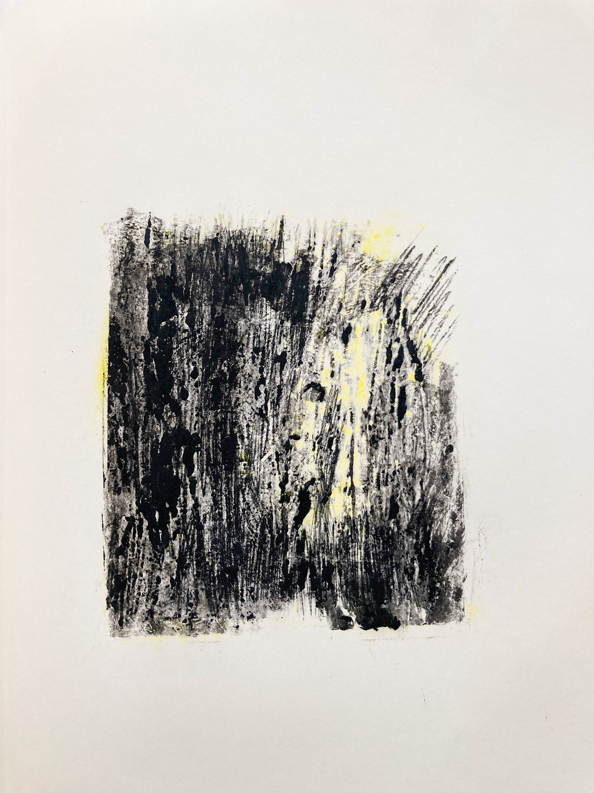 sans titre : pigment - pastel à l'huile sur papier - 19x25 cm