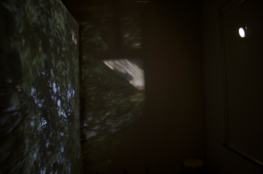 Of Things Past, 2010. Camera obscura (vintage telescope lens and fabric), copper electroformed hand cut leaves. Dimensions variable. Photography: Adrian Kenyon