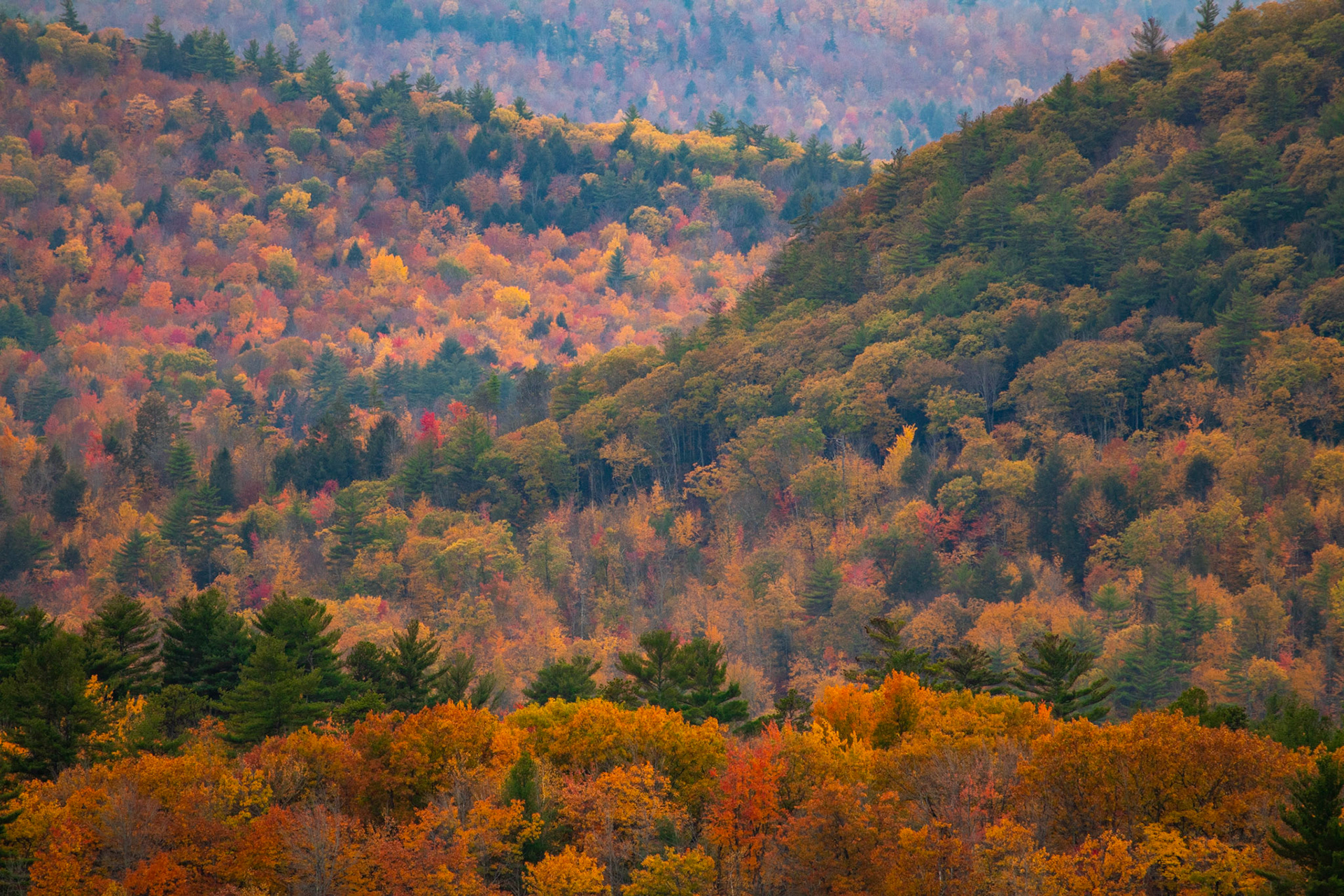 Layers of New England Foliage