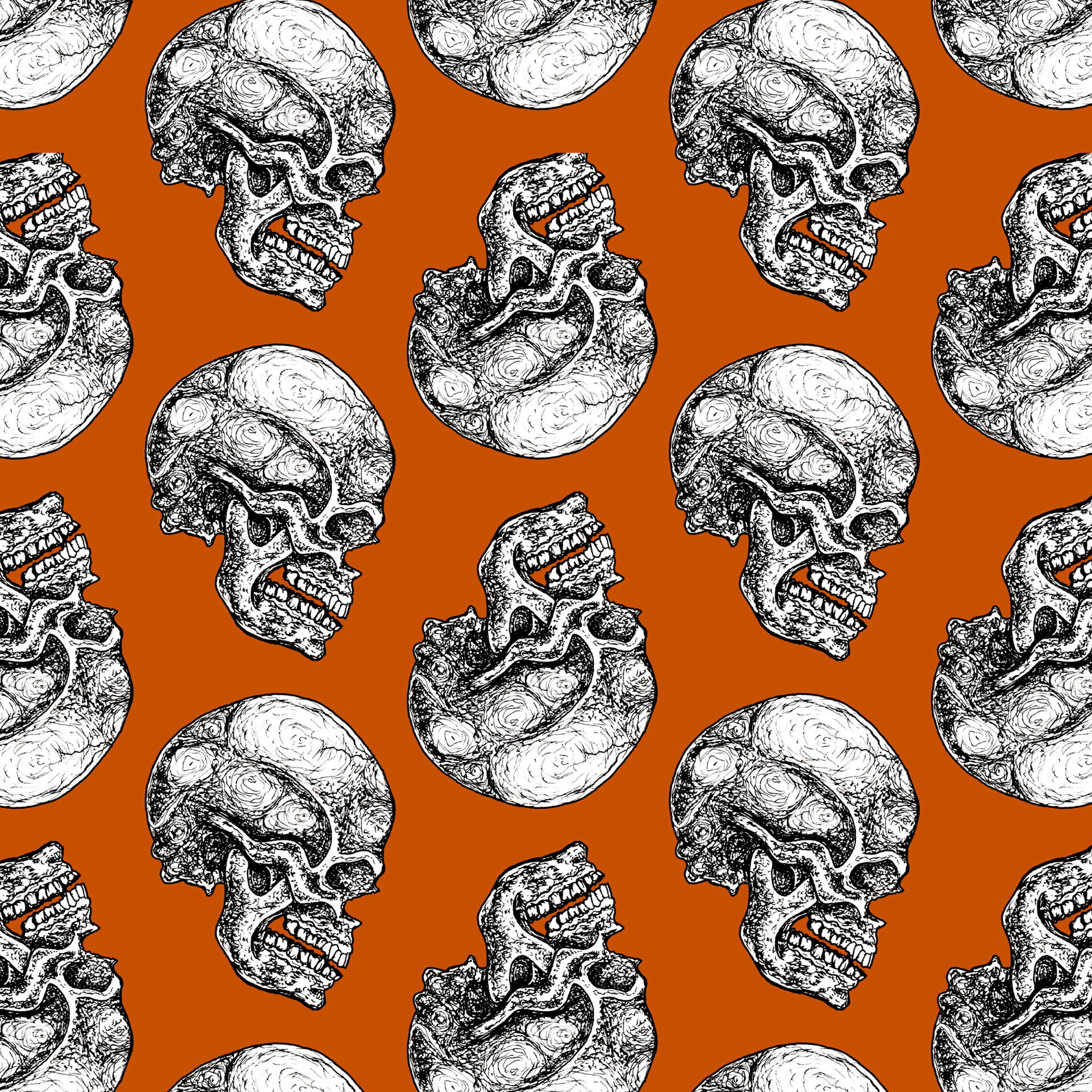 Skulls 1