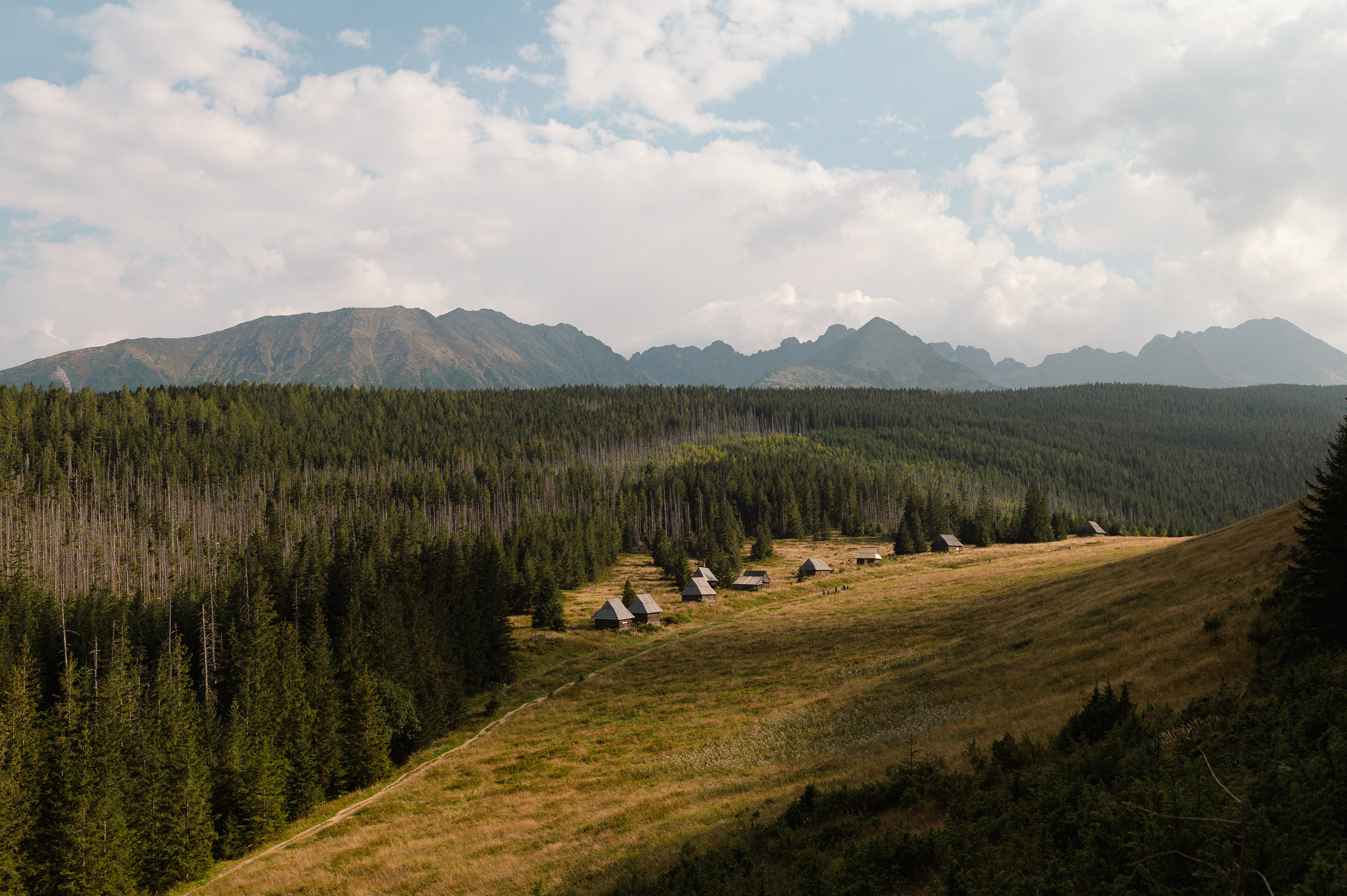 Tatra 02