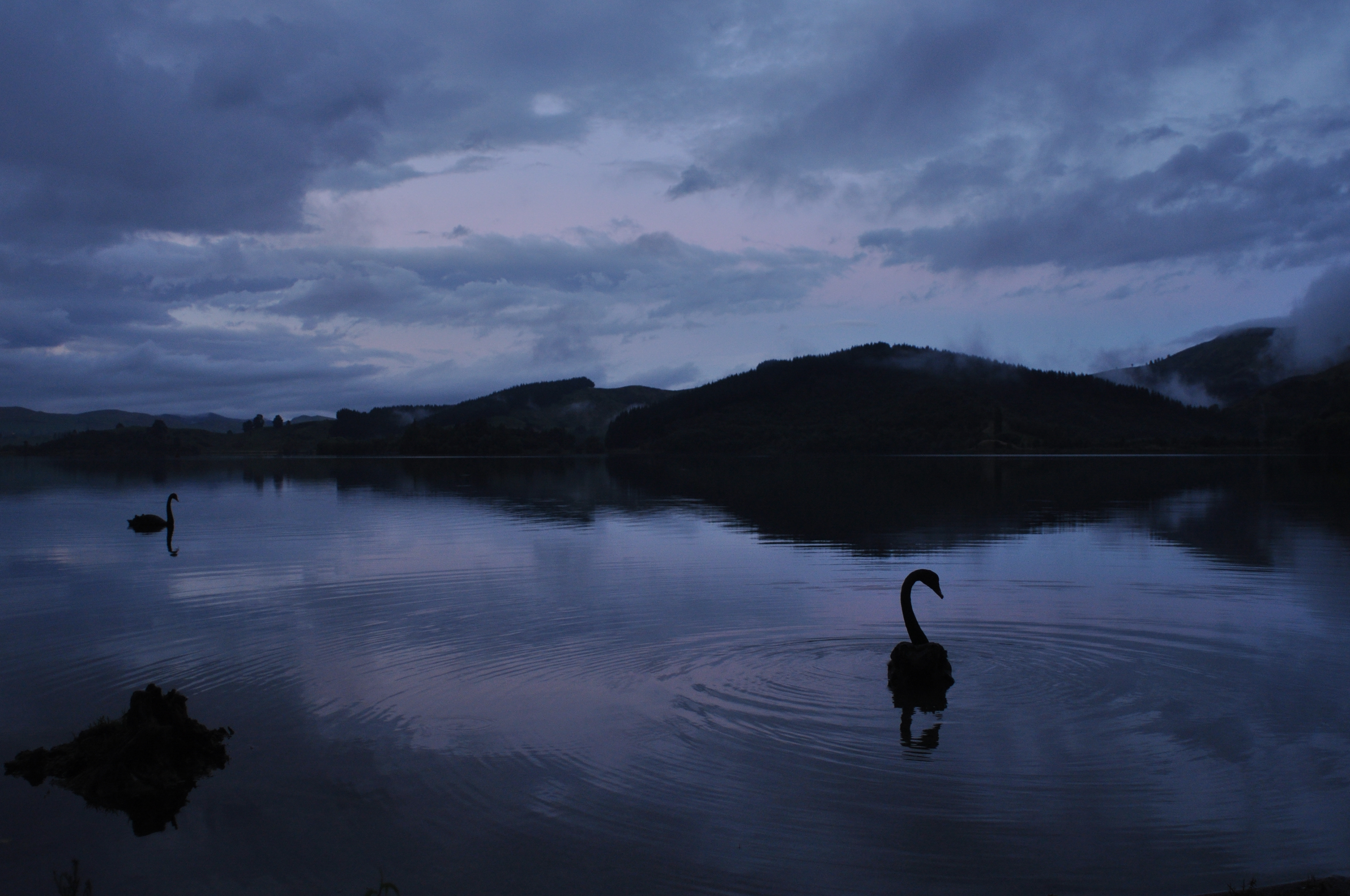 Lake Waikaremoana