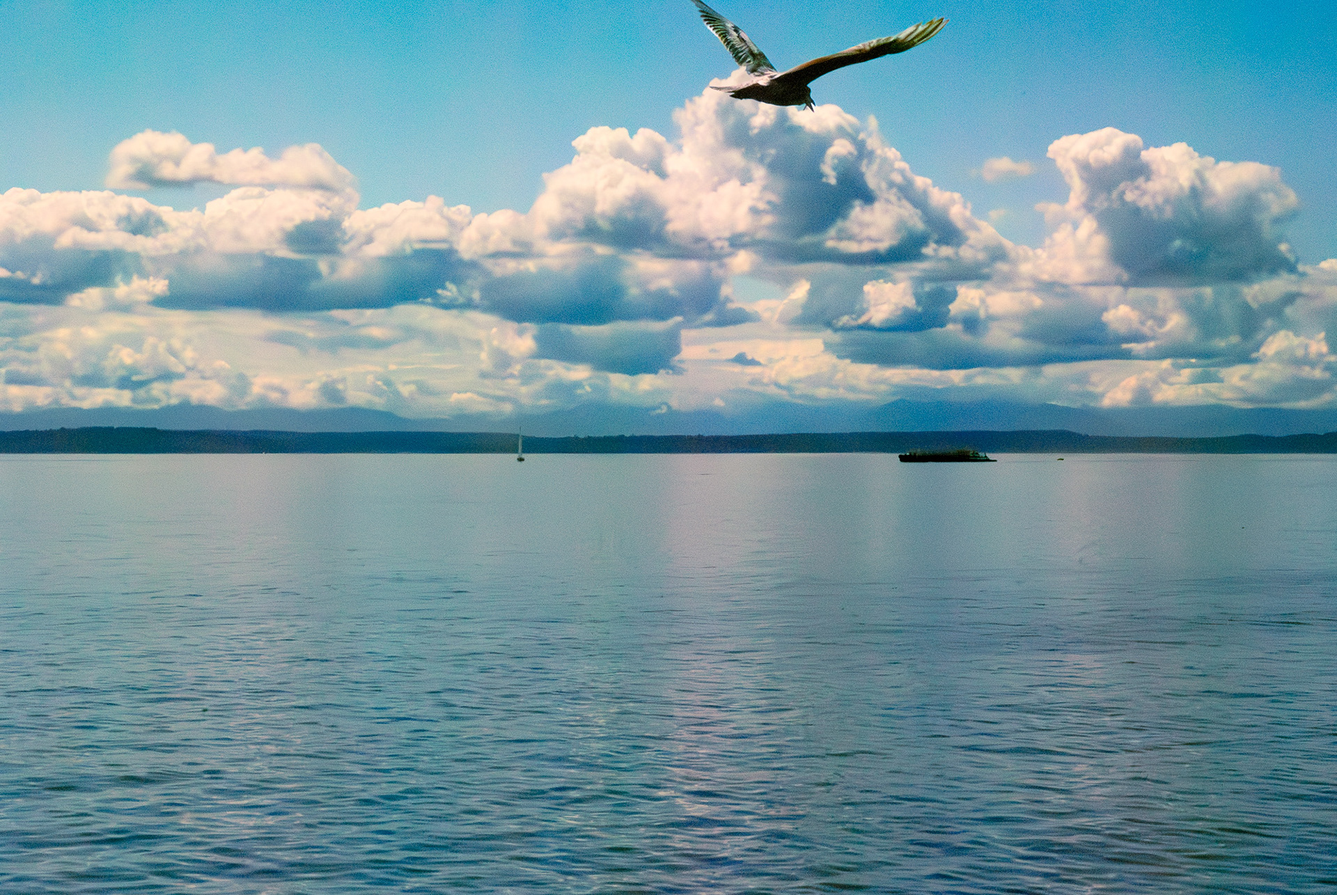 Seattle, Washington