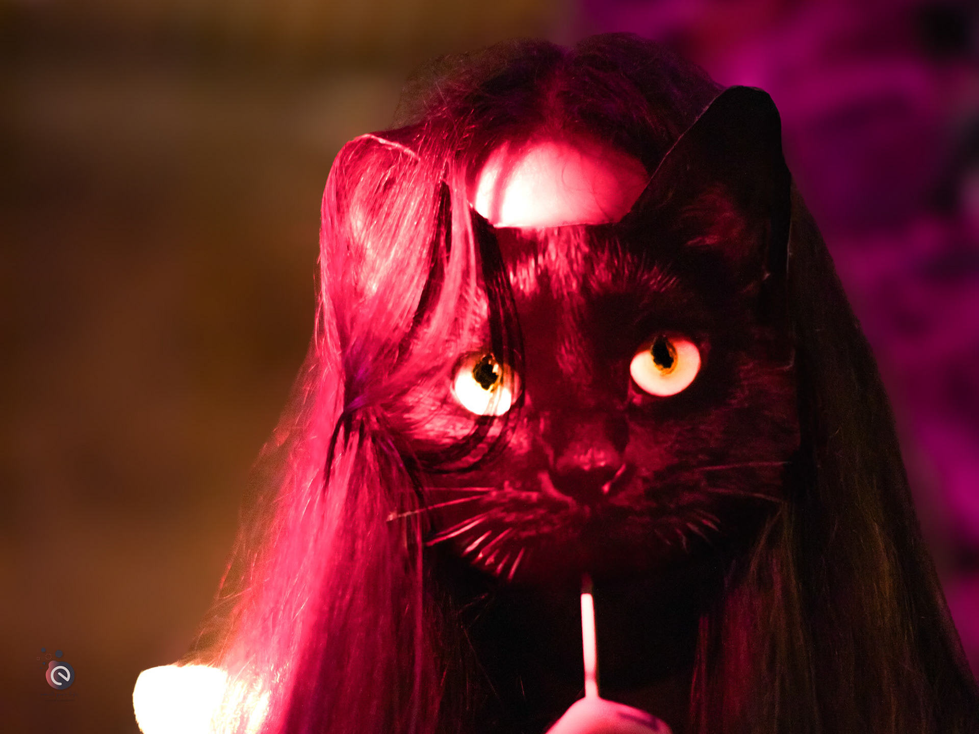 Clin d’œil unique : des accessoires personnalisés avec la tête de leur chat, symbole de leur complicité et touche fun du mariage.