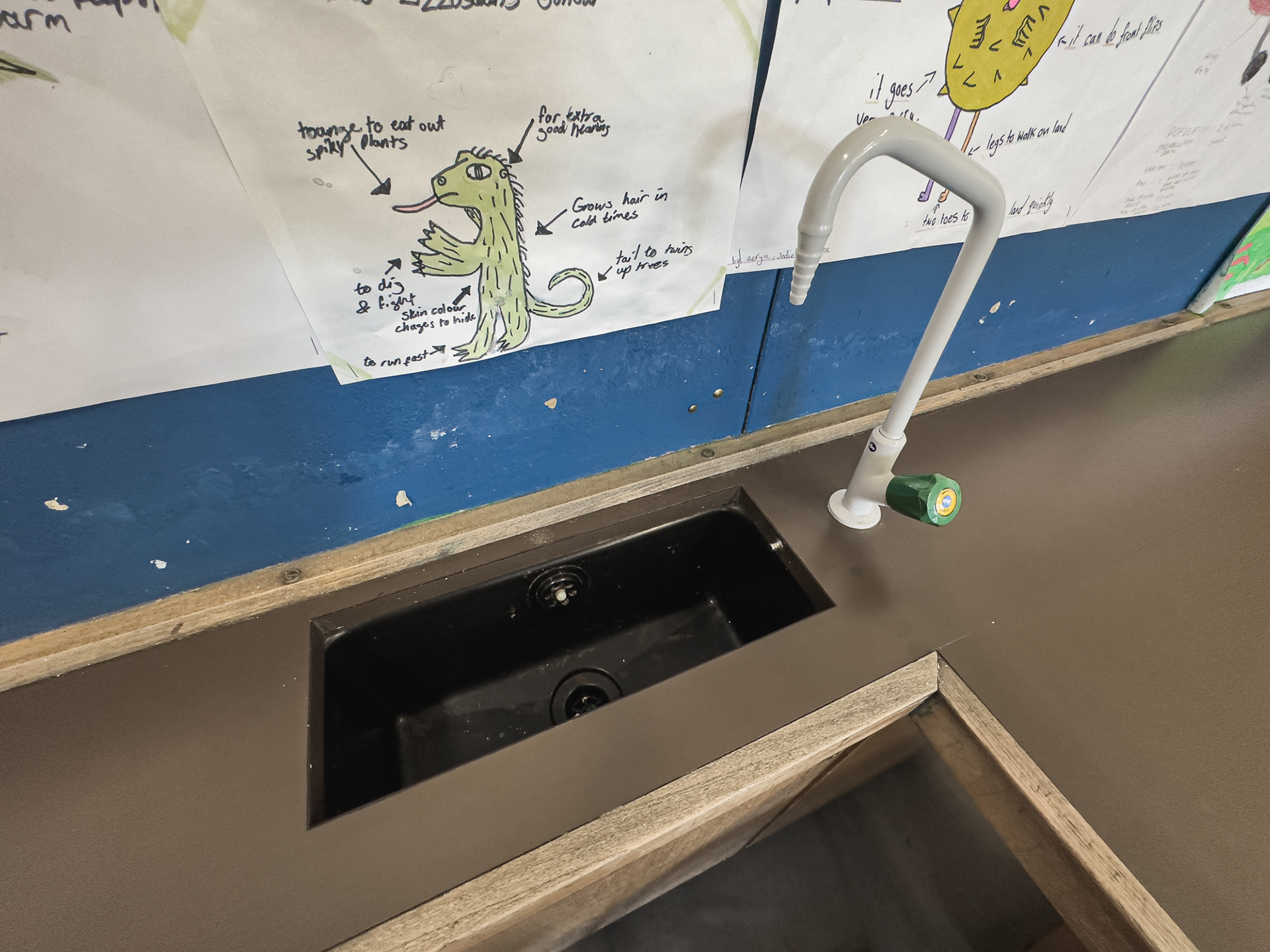 Science bench sinks - the concoctions that have been poured down here!