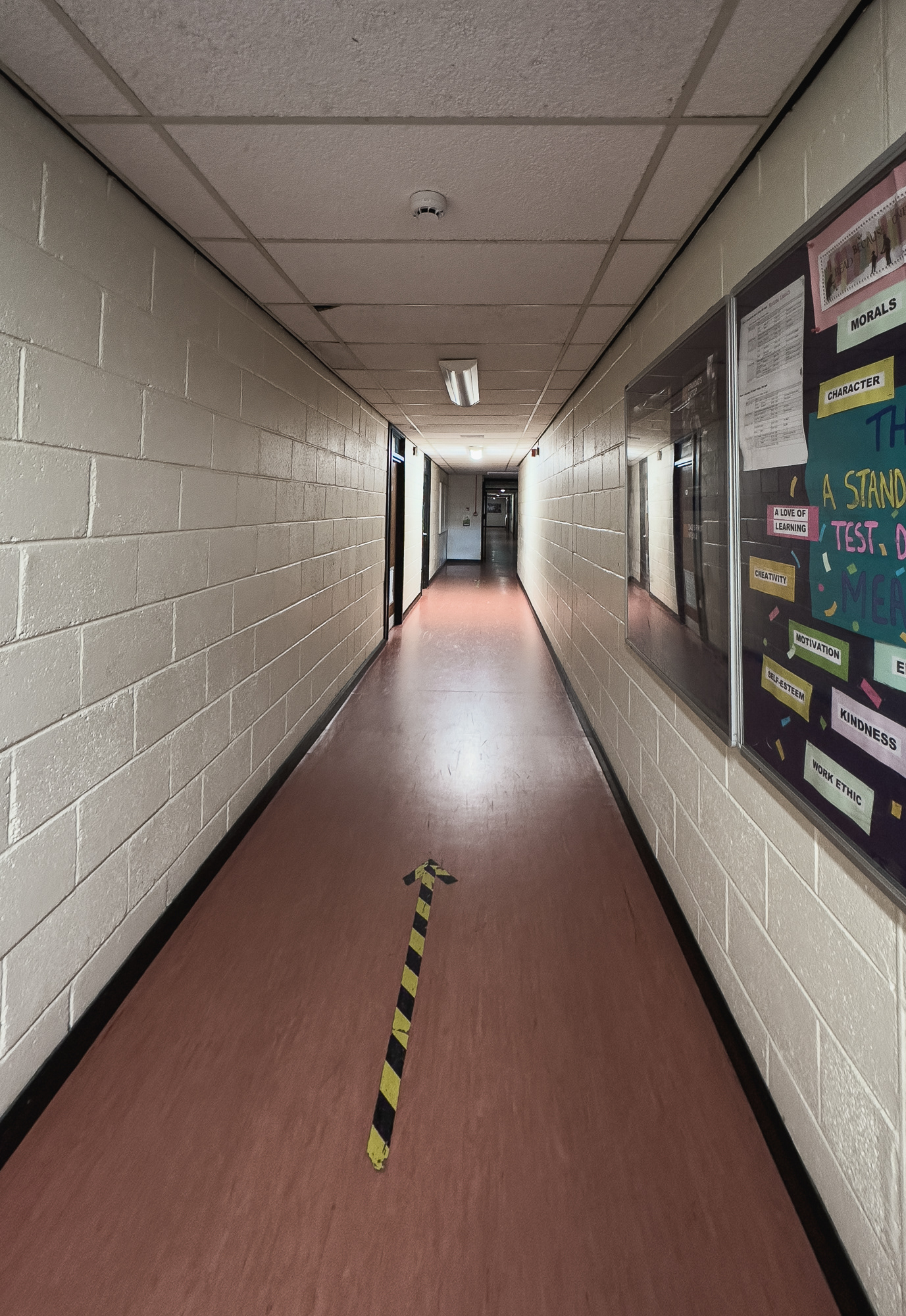 Looking towards business studies.
