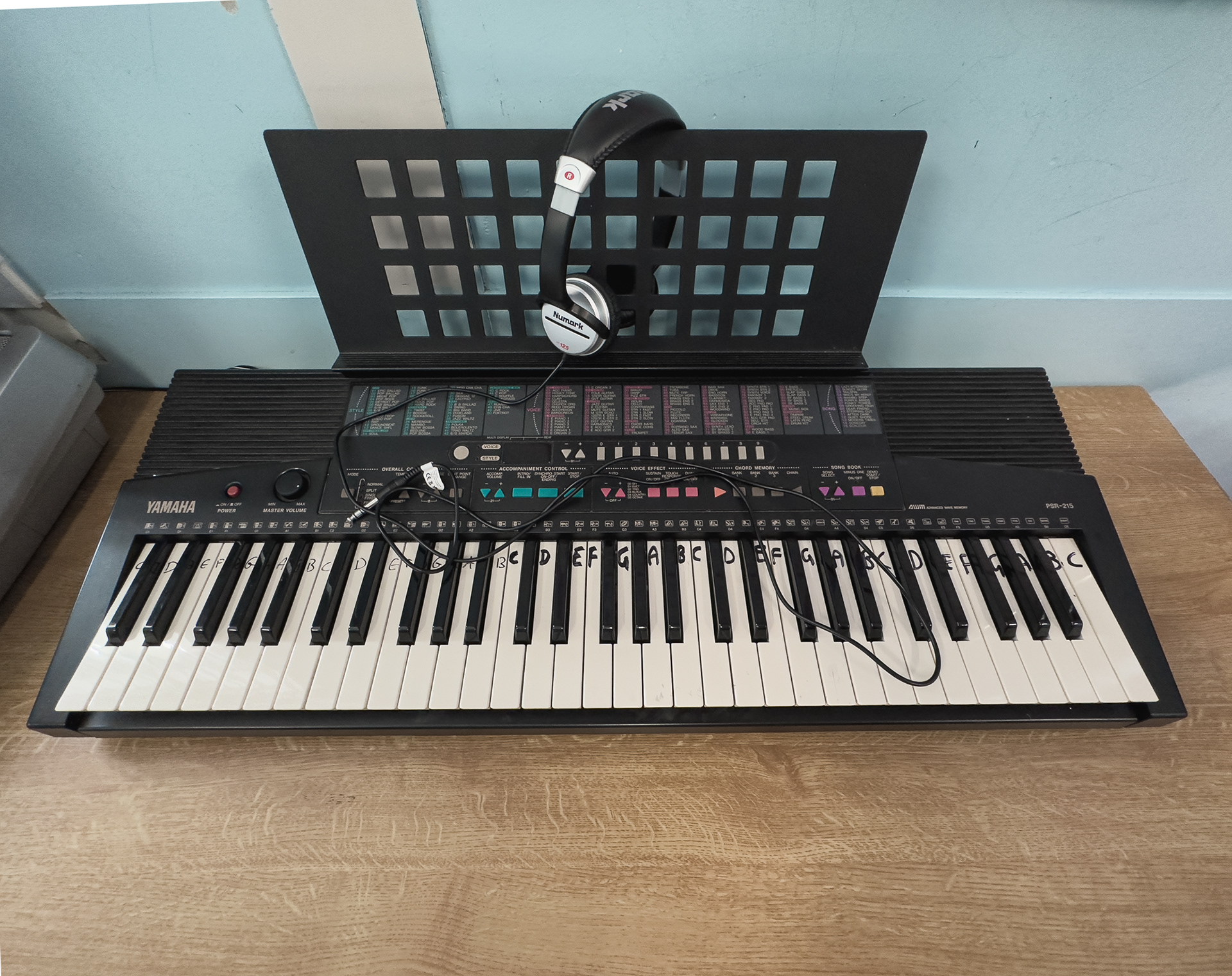 Music keyboard - not dissimilar to the old Casio ones we used.