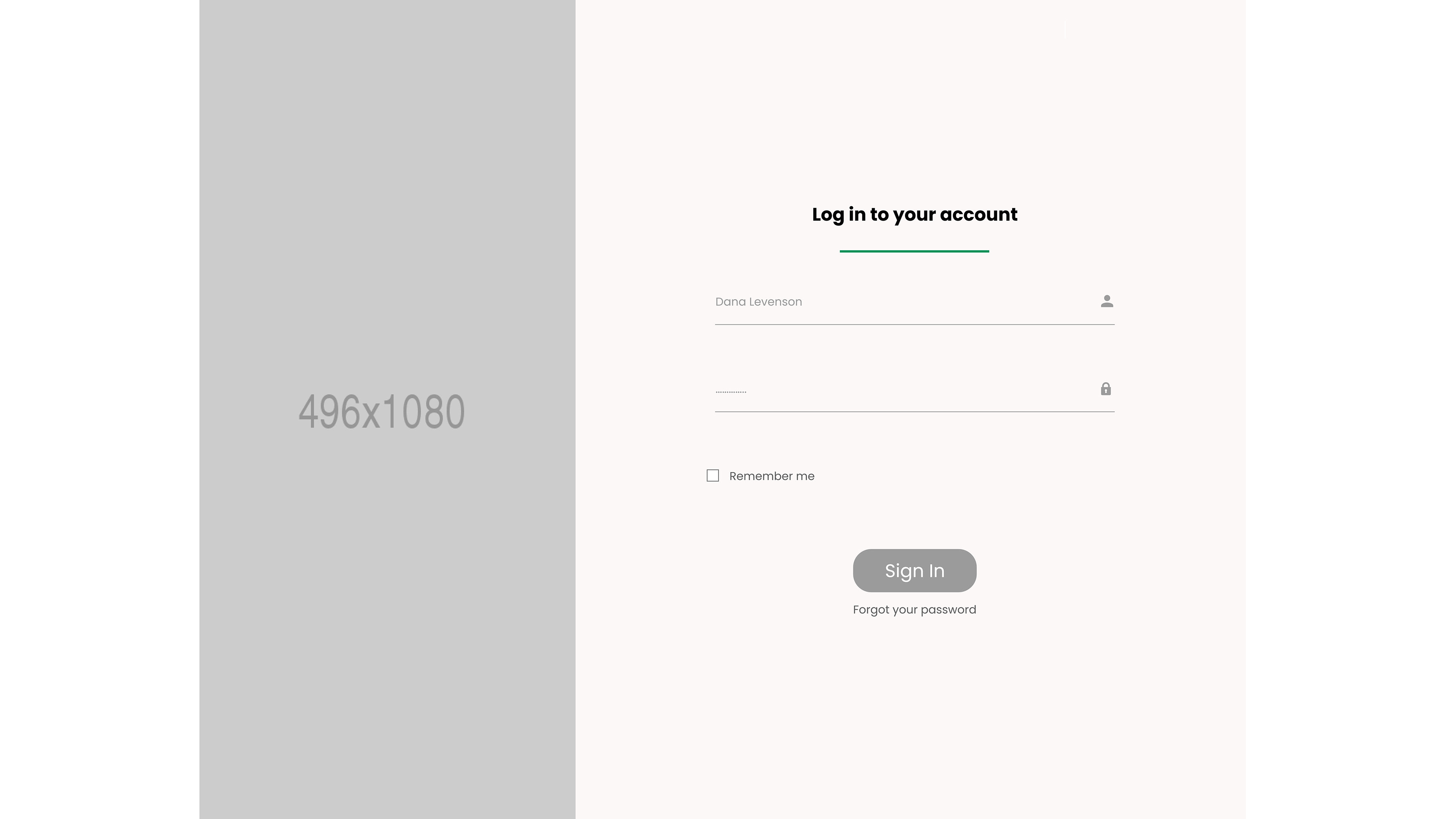 Landing Page Log-in