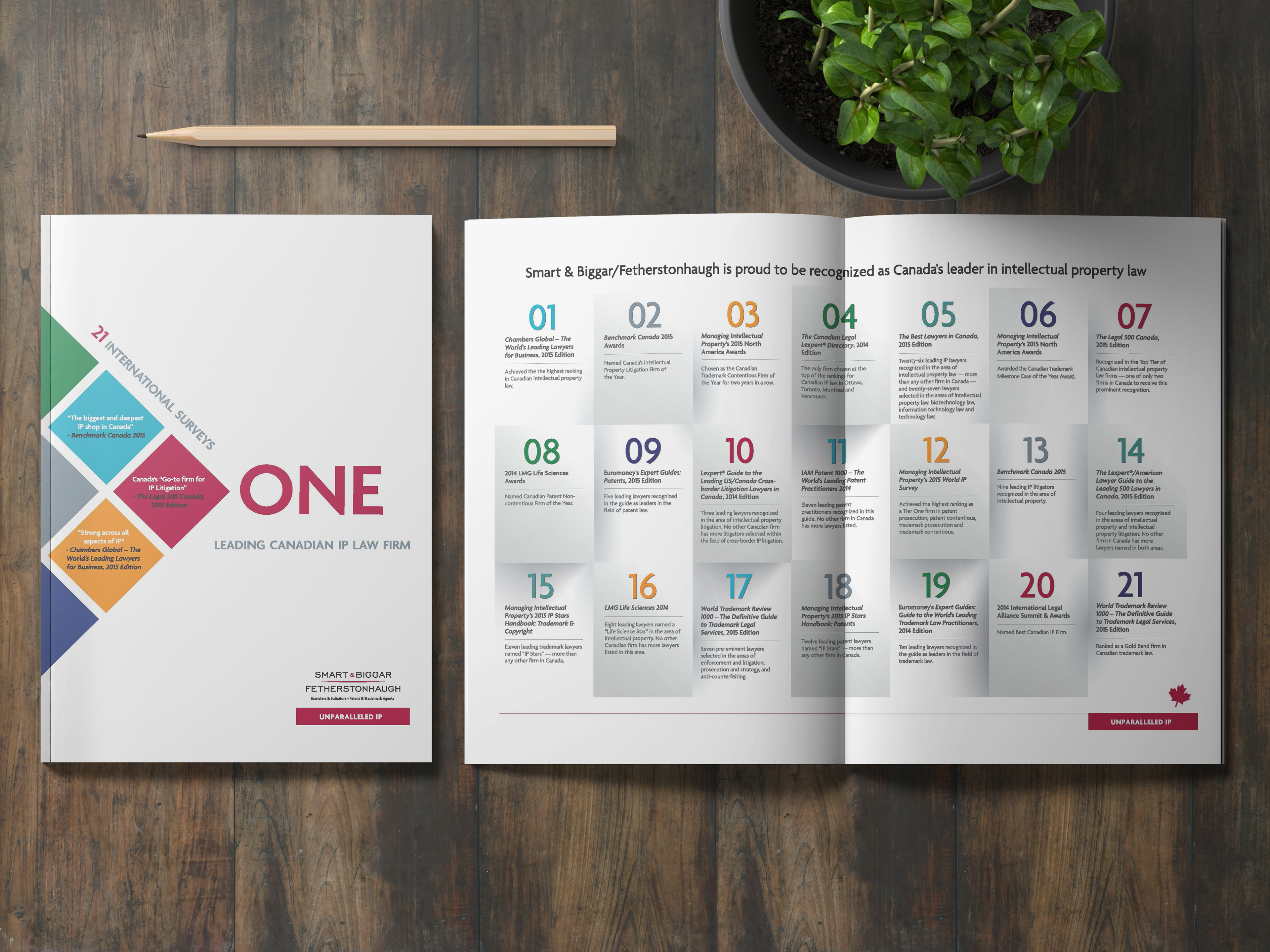 S&B Survey Brochure