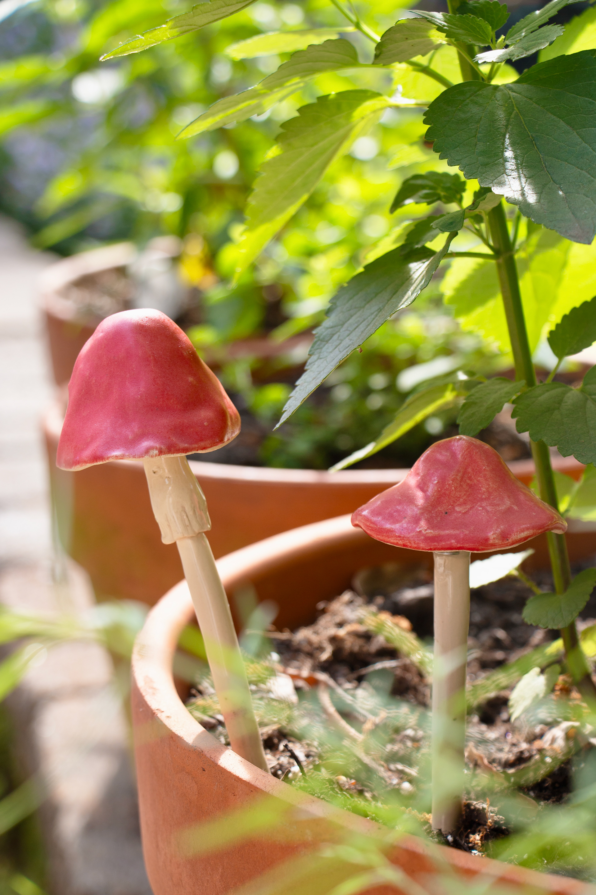 Spring 2025, Reclaimed clay, red glaze