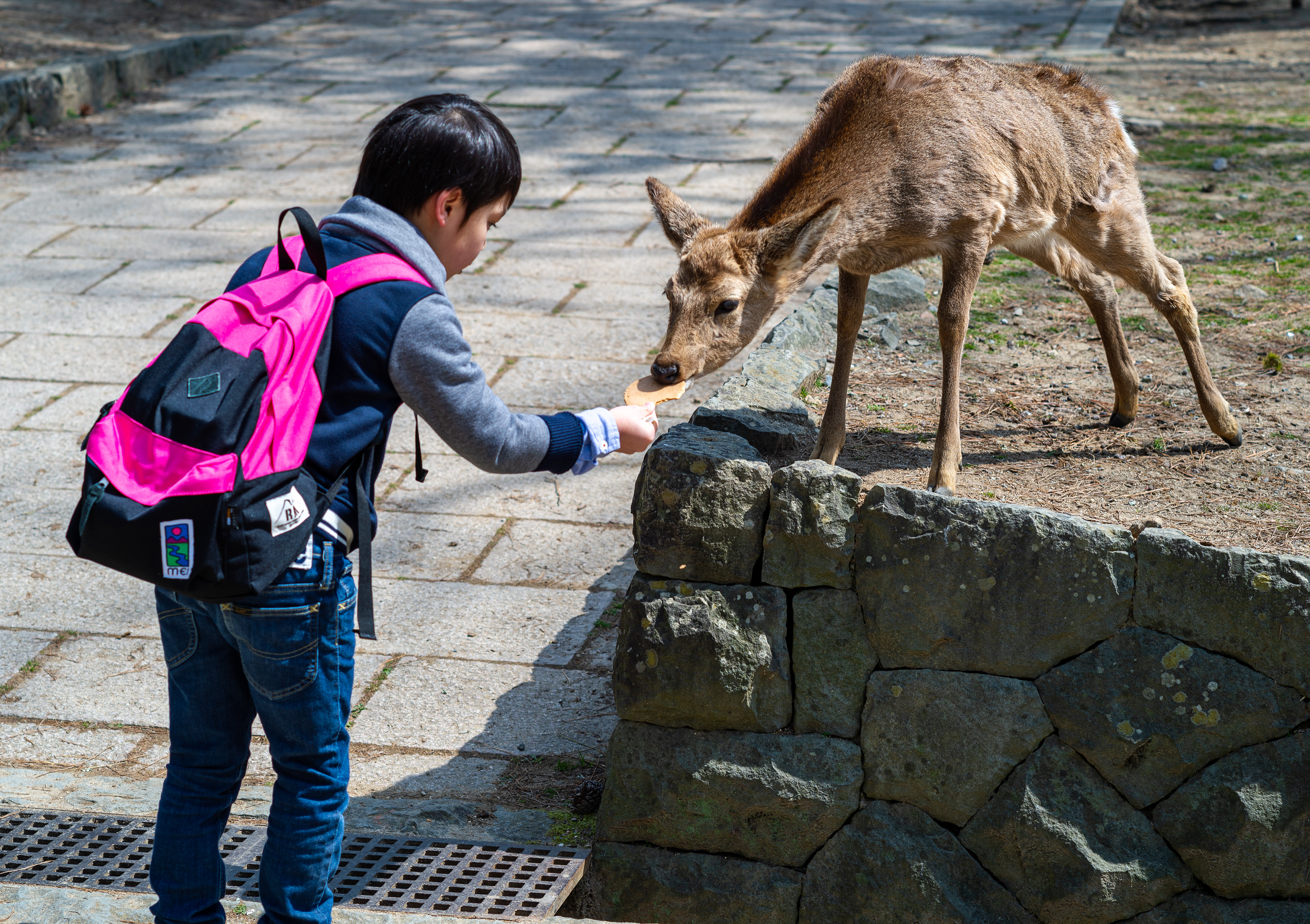 Nara, Japan