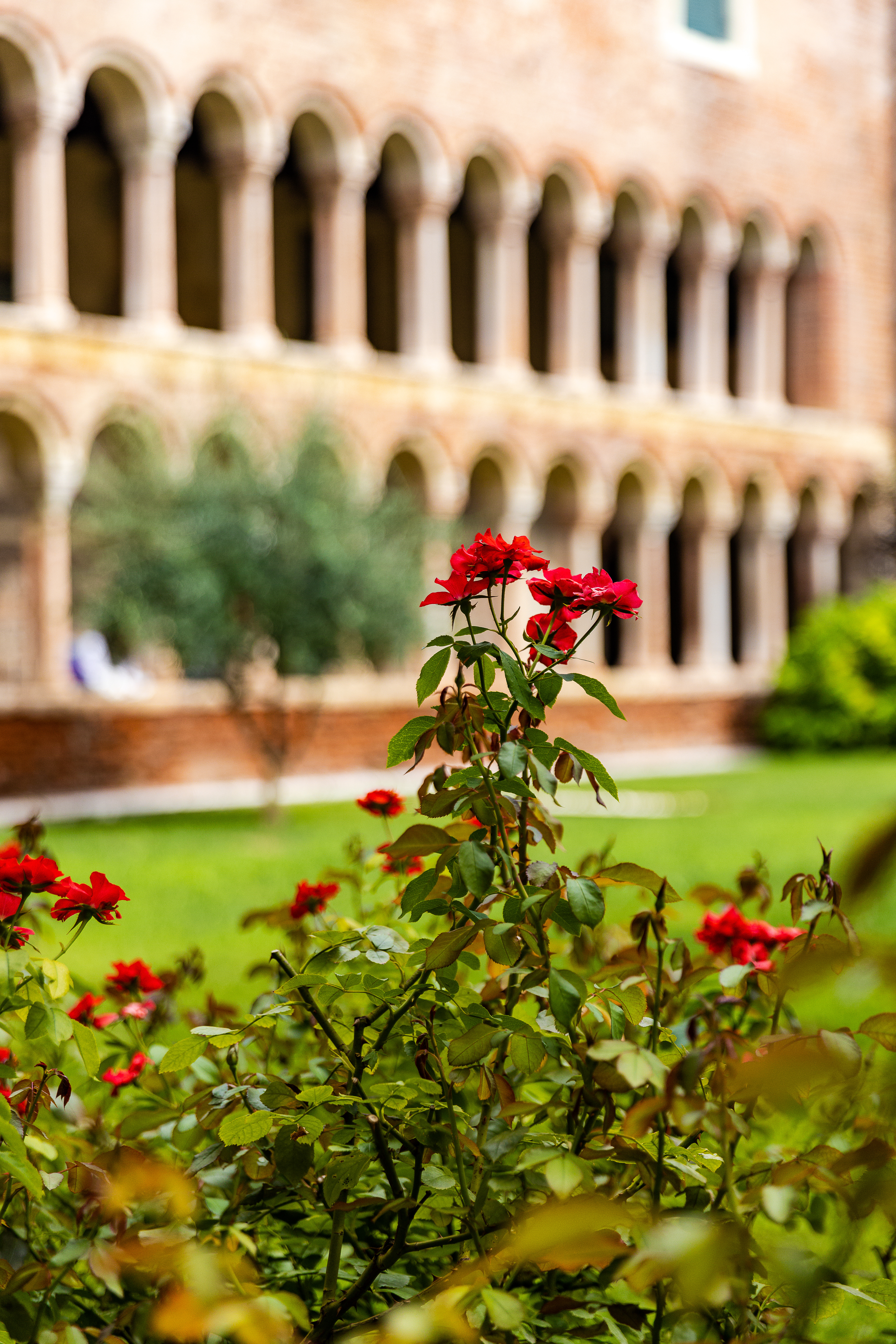 Cloister of the Canons of San Lorenzo